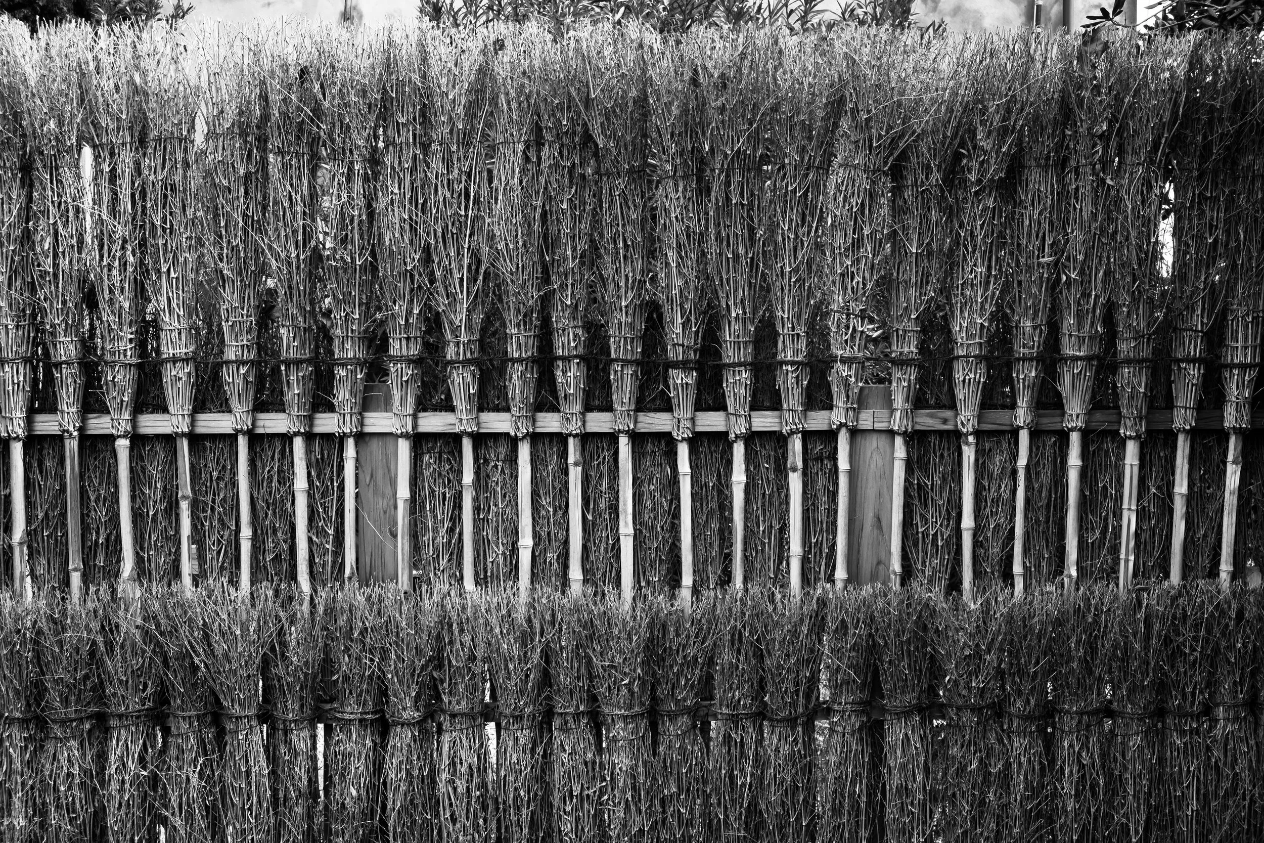 Mondrian Abstractions