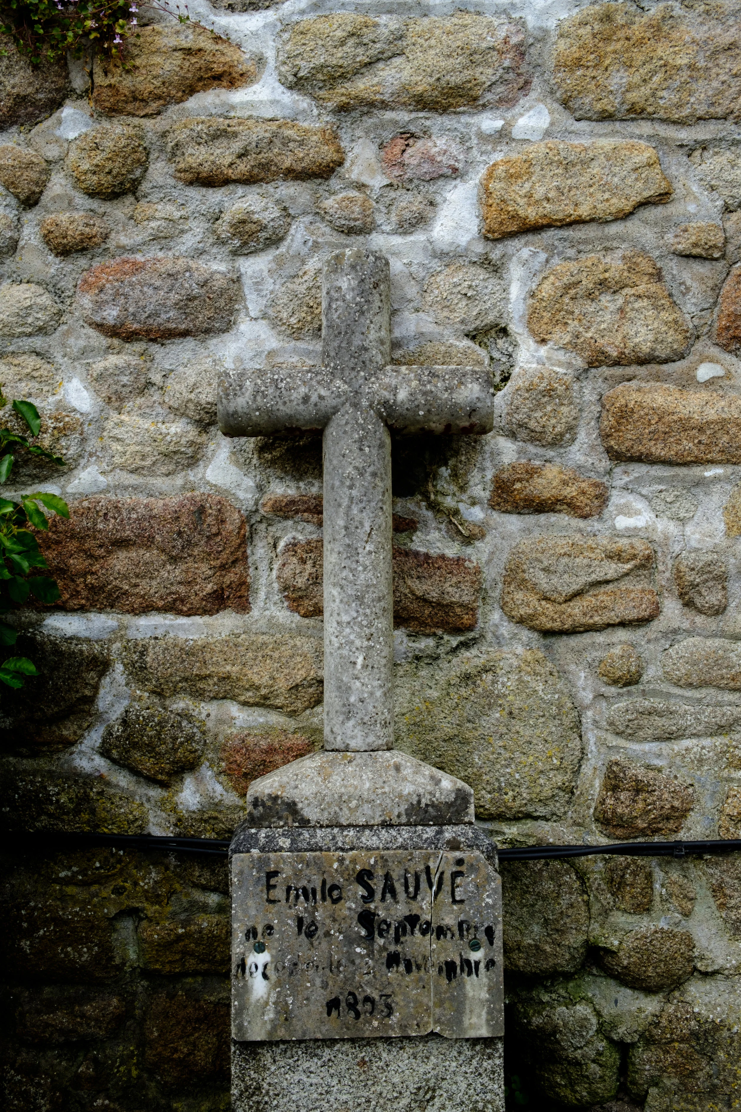 XPRO8952.jpg