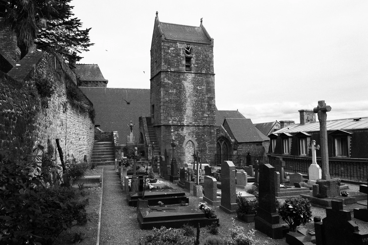untitledXPRO8948.jpg