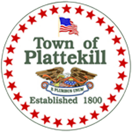 Got a traffic court date in Plattekill?  Call Selby Legal if you don't want to go yourself.