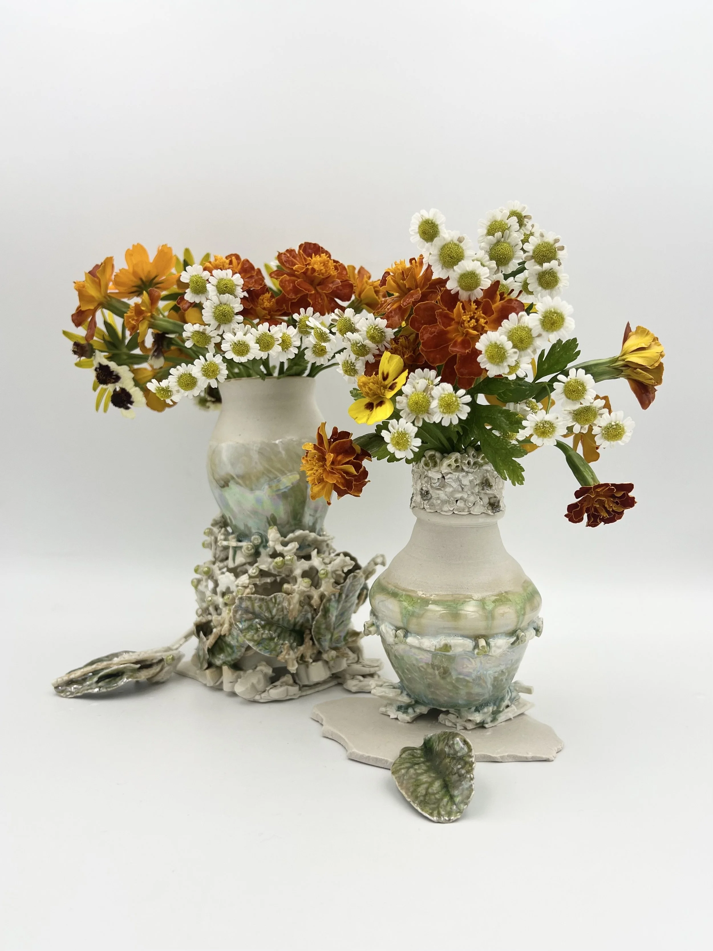 northfallen_flowers1.jpg