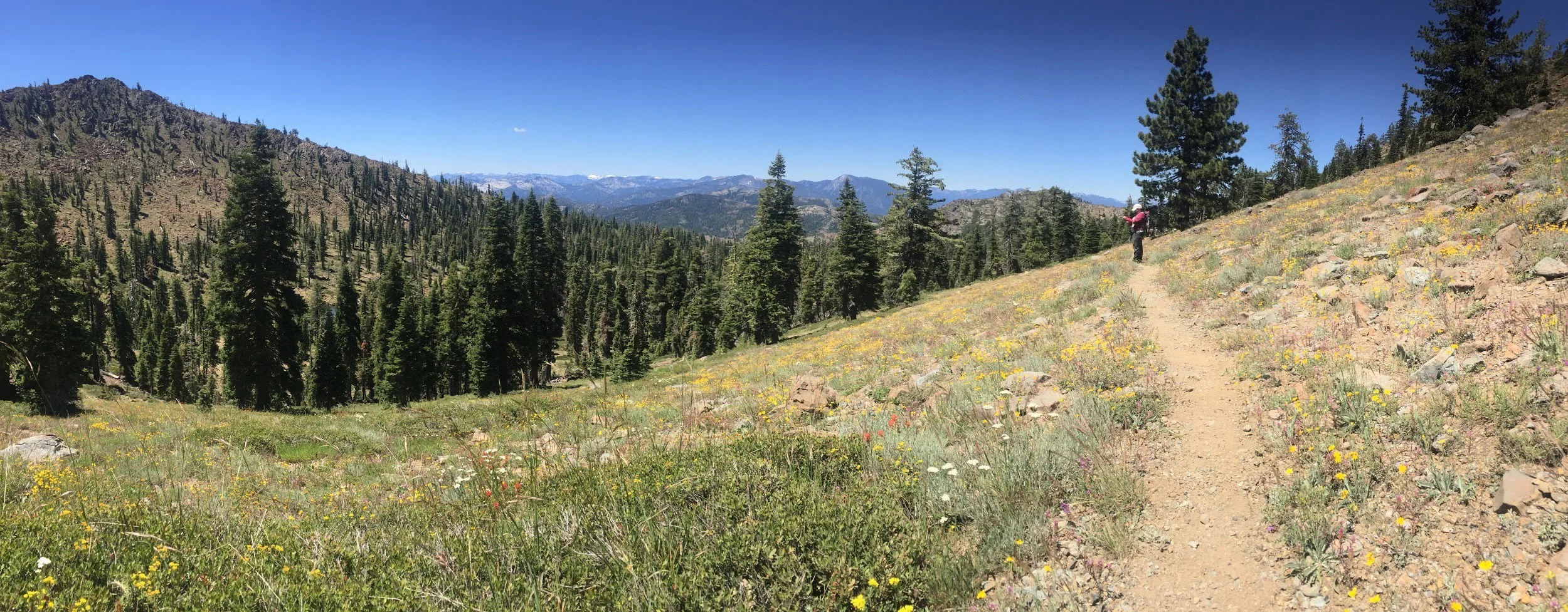 PCT.jpg