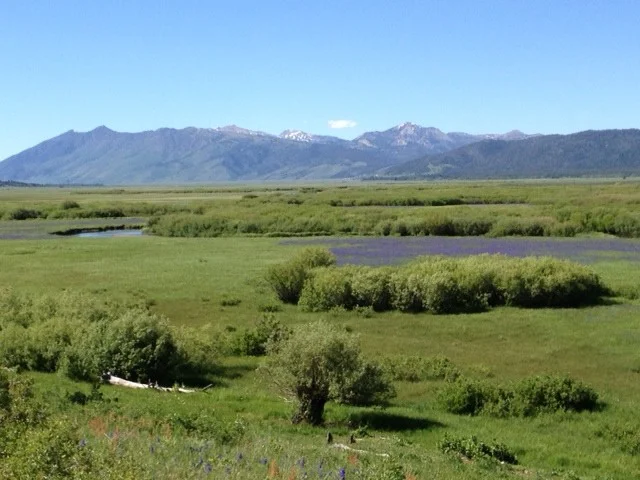 Nez Perce.jpg