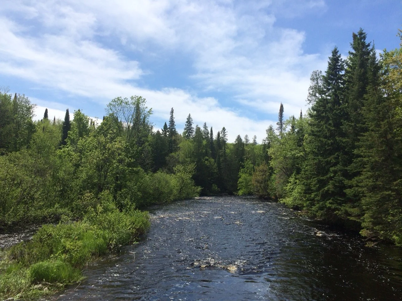North Country.jpg