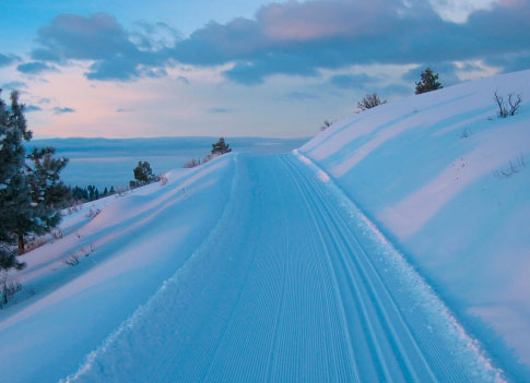 Okanogan-Wenatchee National Forest Credit: USFS