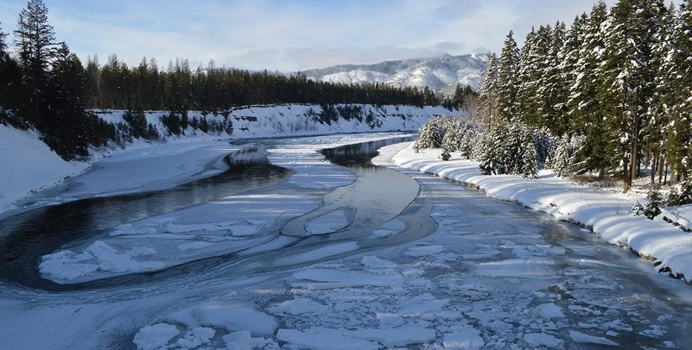 Winter WonderLANDS, LWCFstyle