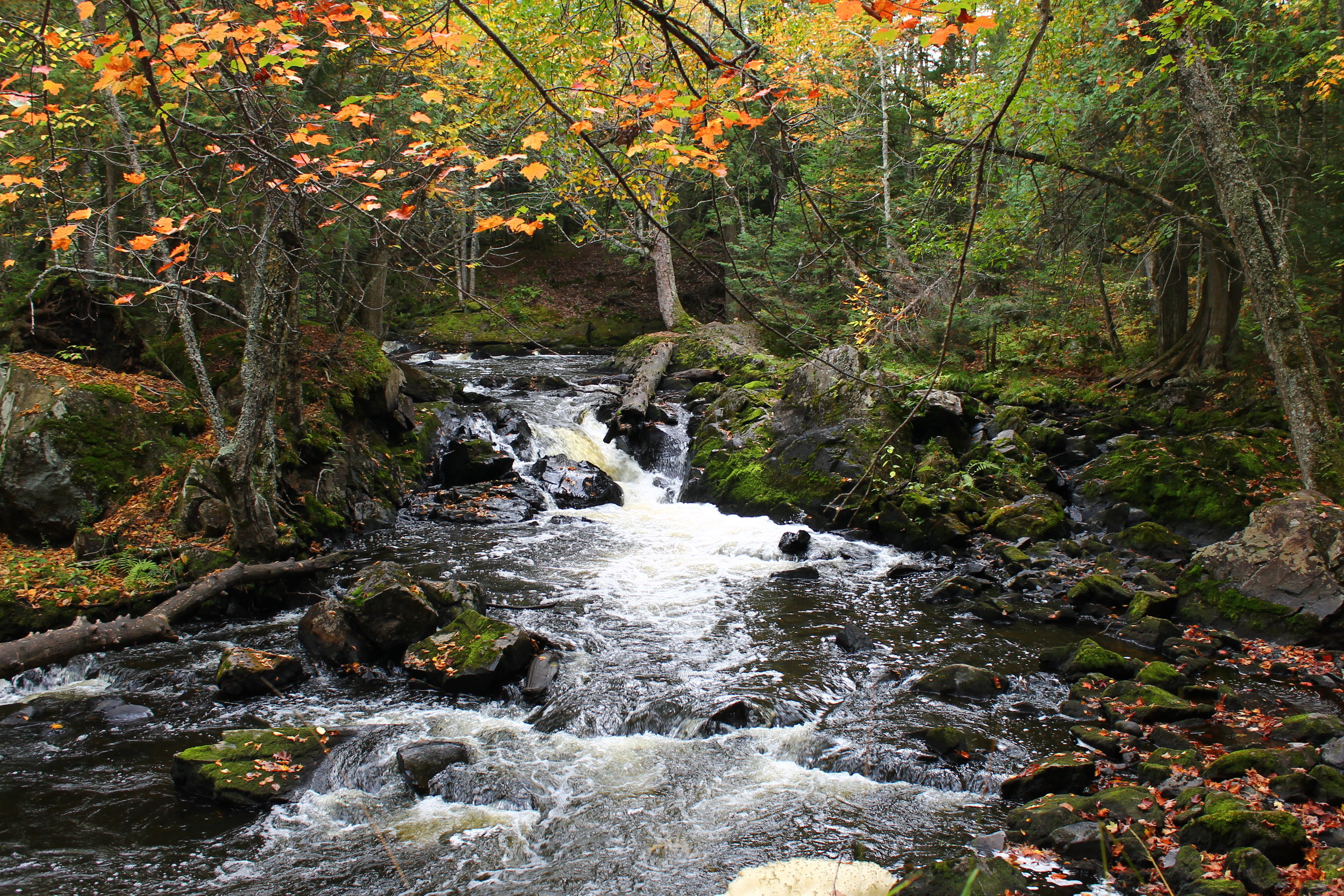 Ottawa NF.USFS.jpg