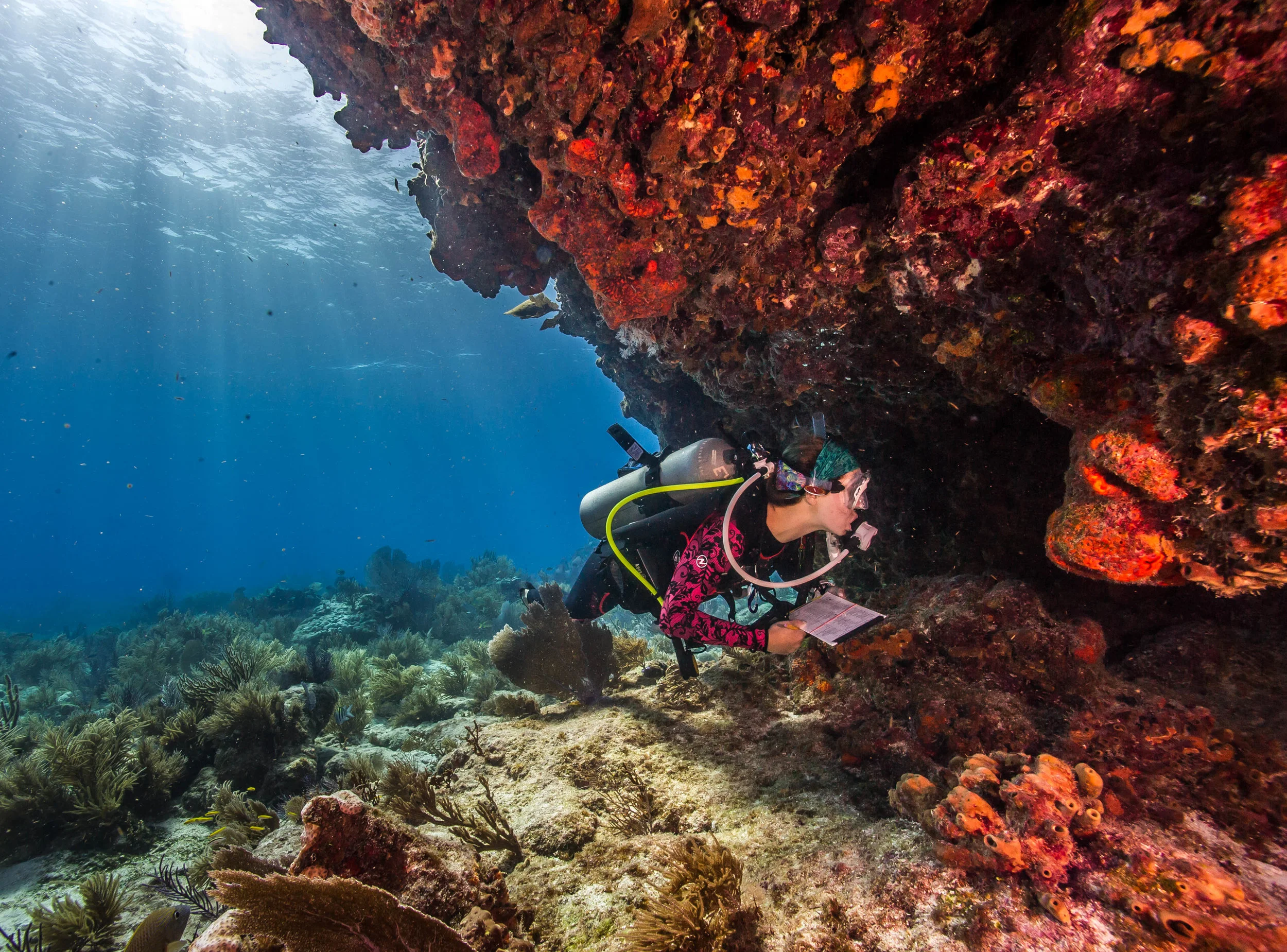 Swimming Spots Protected by LWCF