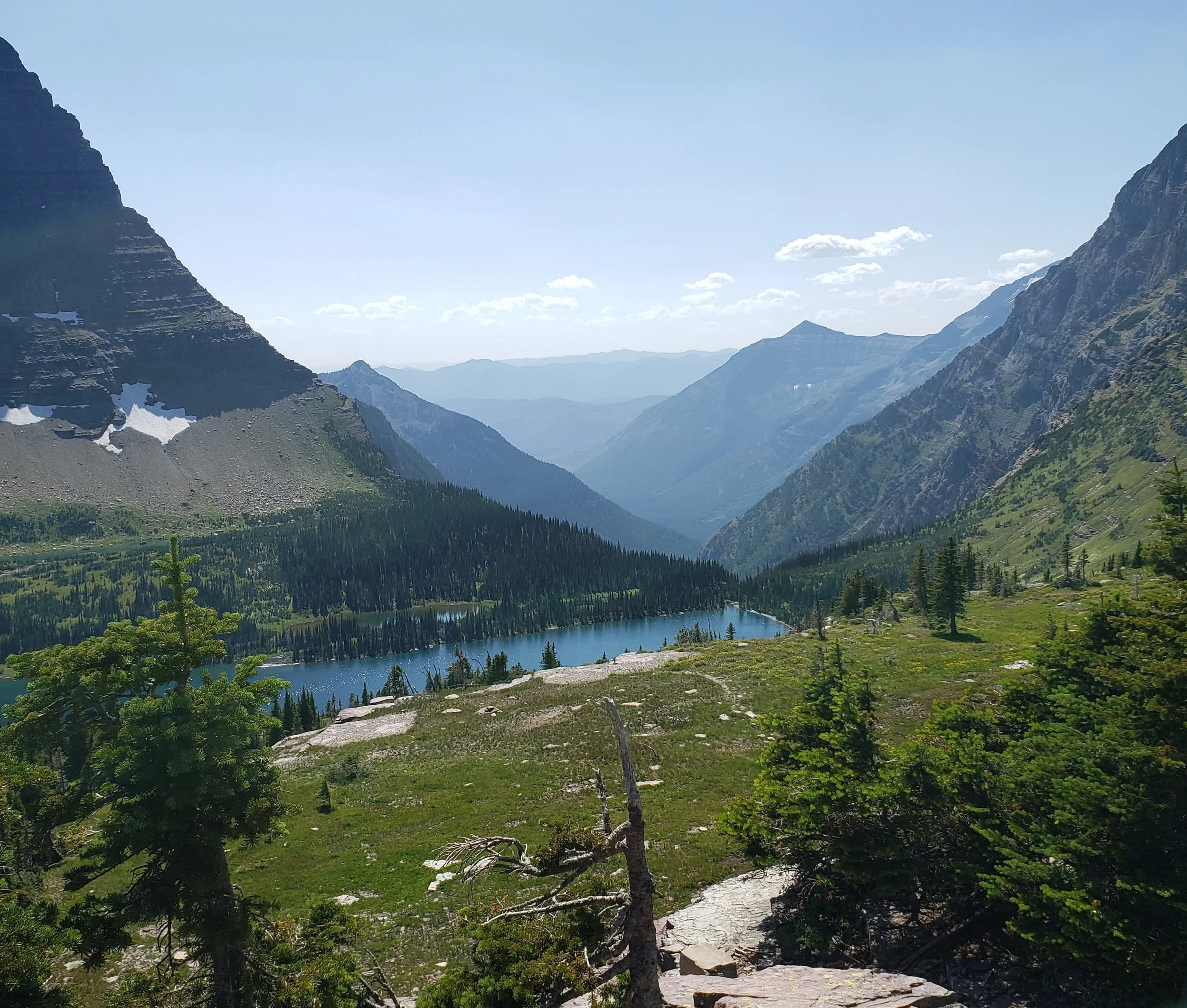 North America's Migration Corridors Protected by the Land and Water Conservation Fund