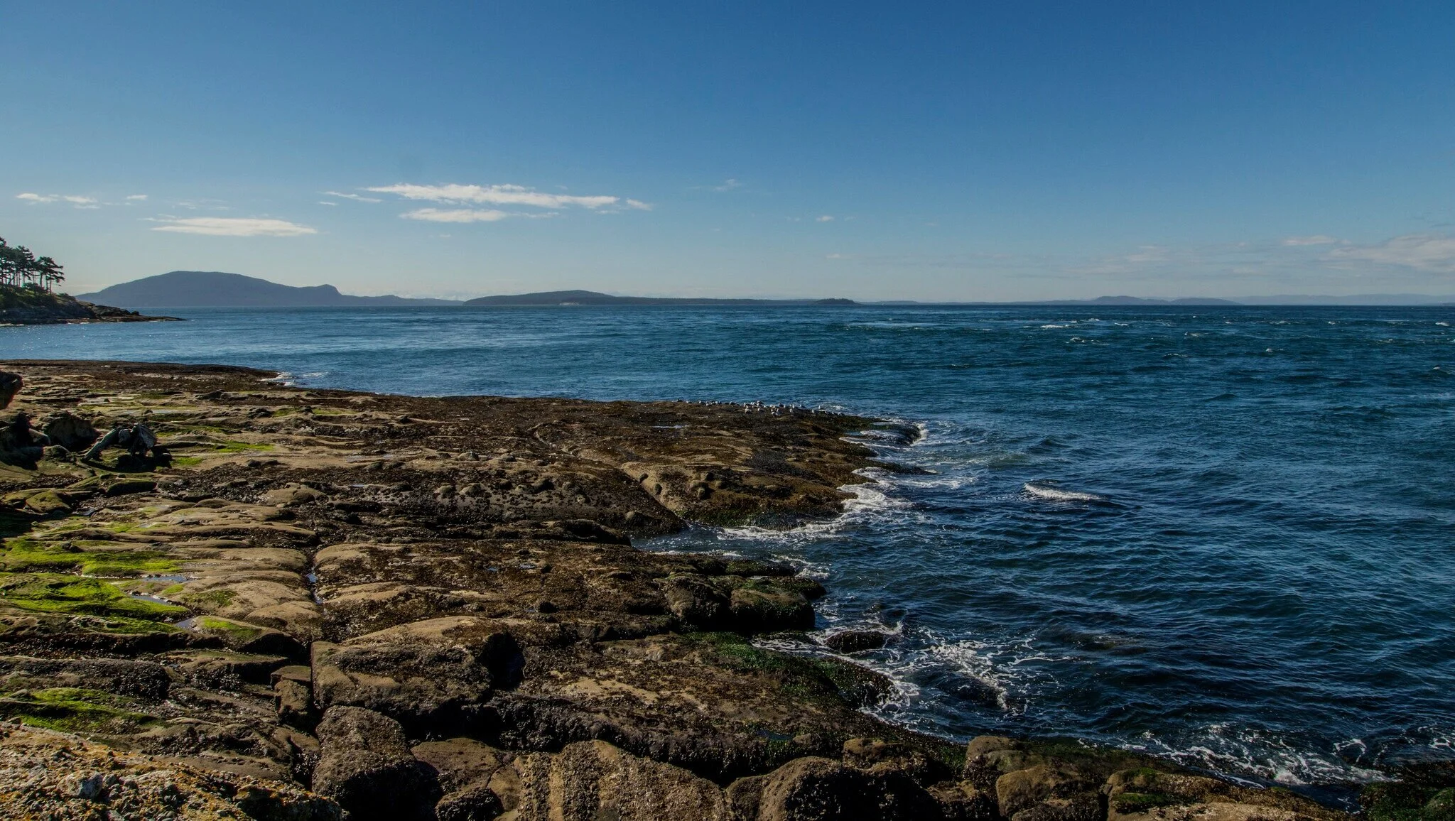 The Great American Outdoors Act: From Start to Finish