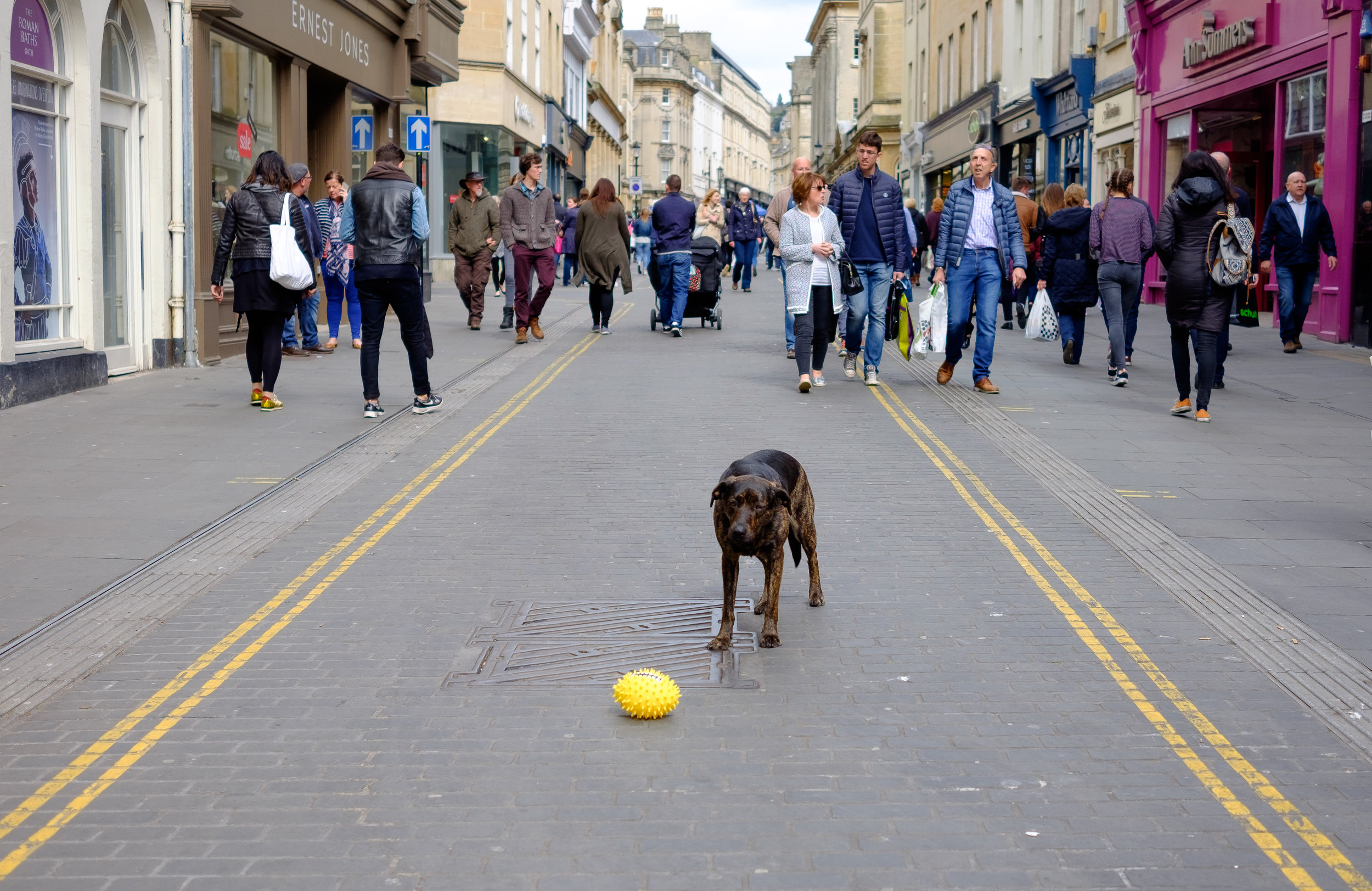 Easter egg for dogs?! (Central Bath)