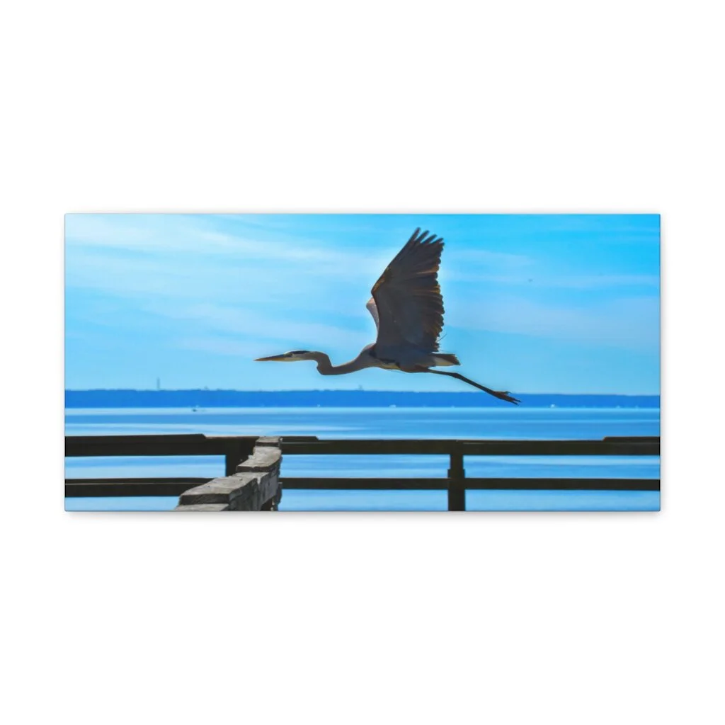 661dedad332cabfd4b2b173488ac2c5f