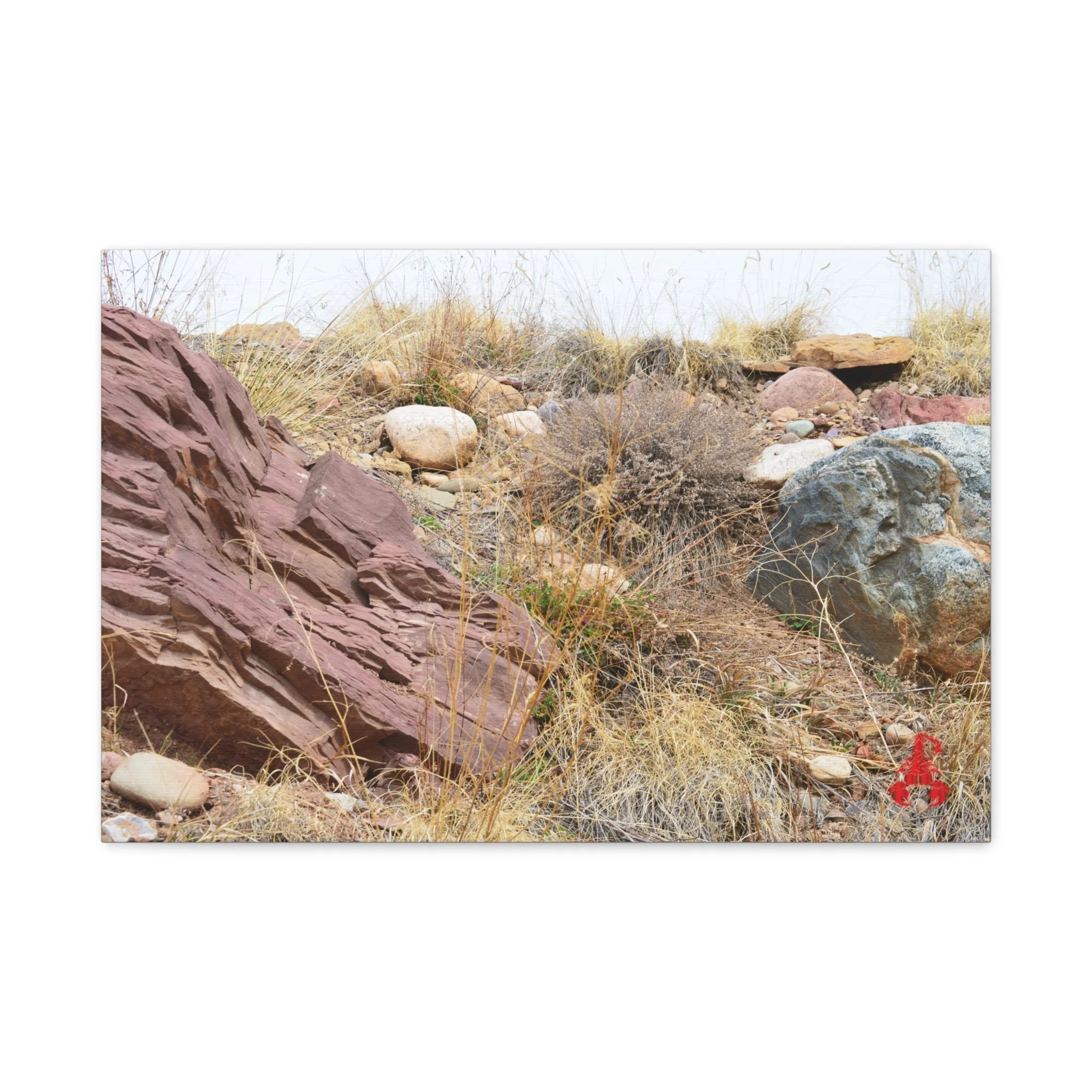 69be53d62eaa75ed2225184a5ecfd254