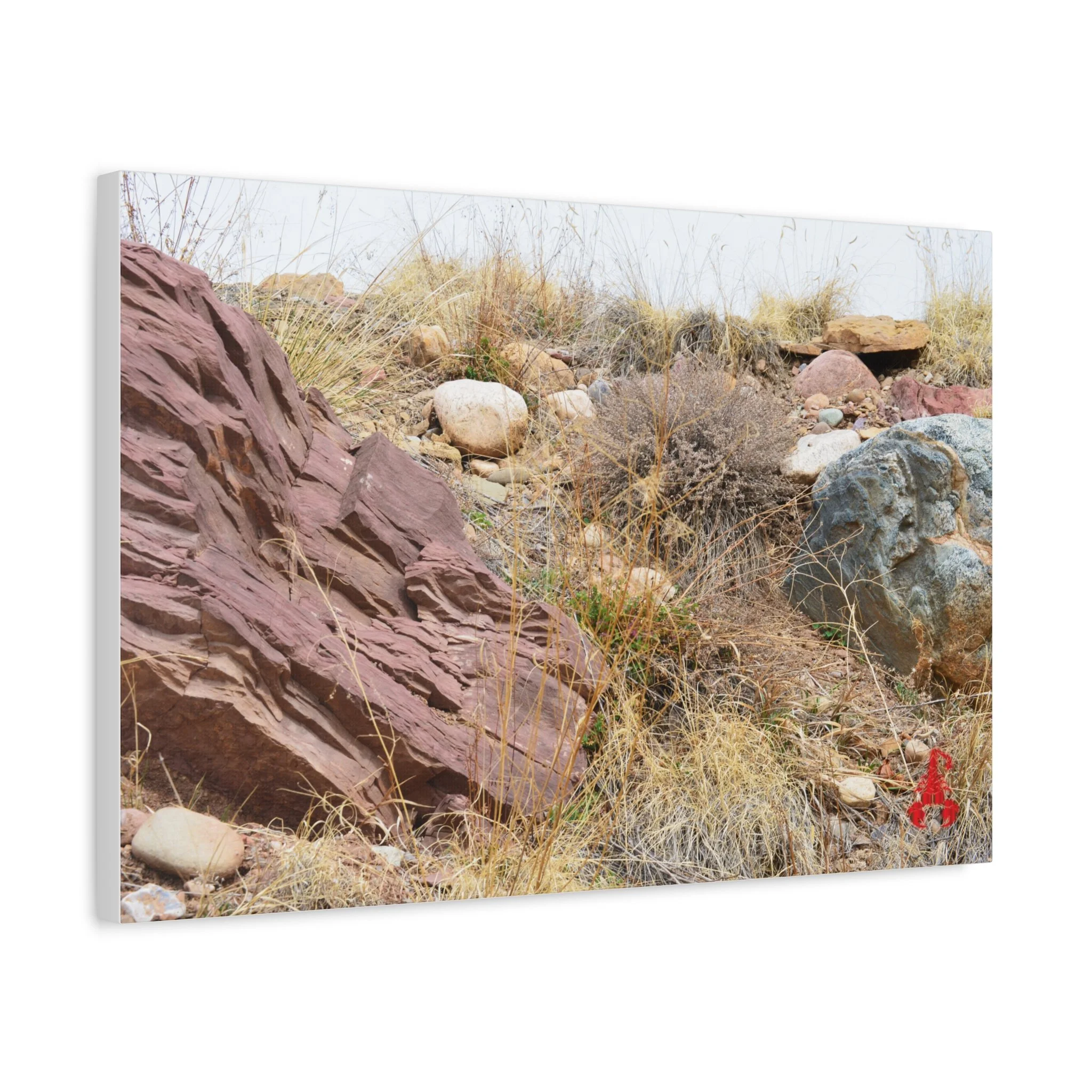 a9d93e35b8a450b868540d064692a77d