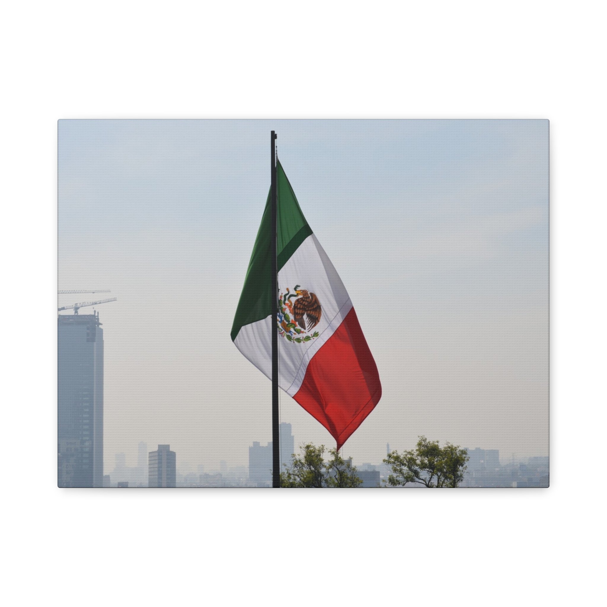 2d4c3707eb6ce7008a5c250bccae0aa8