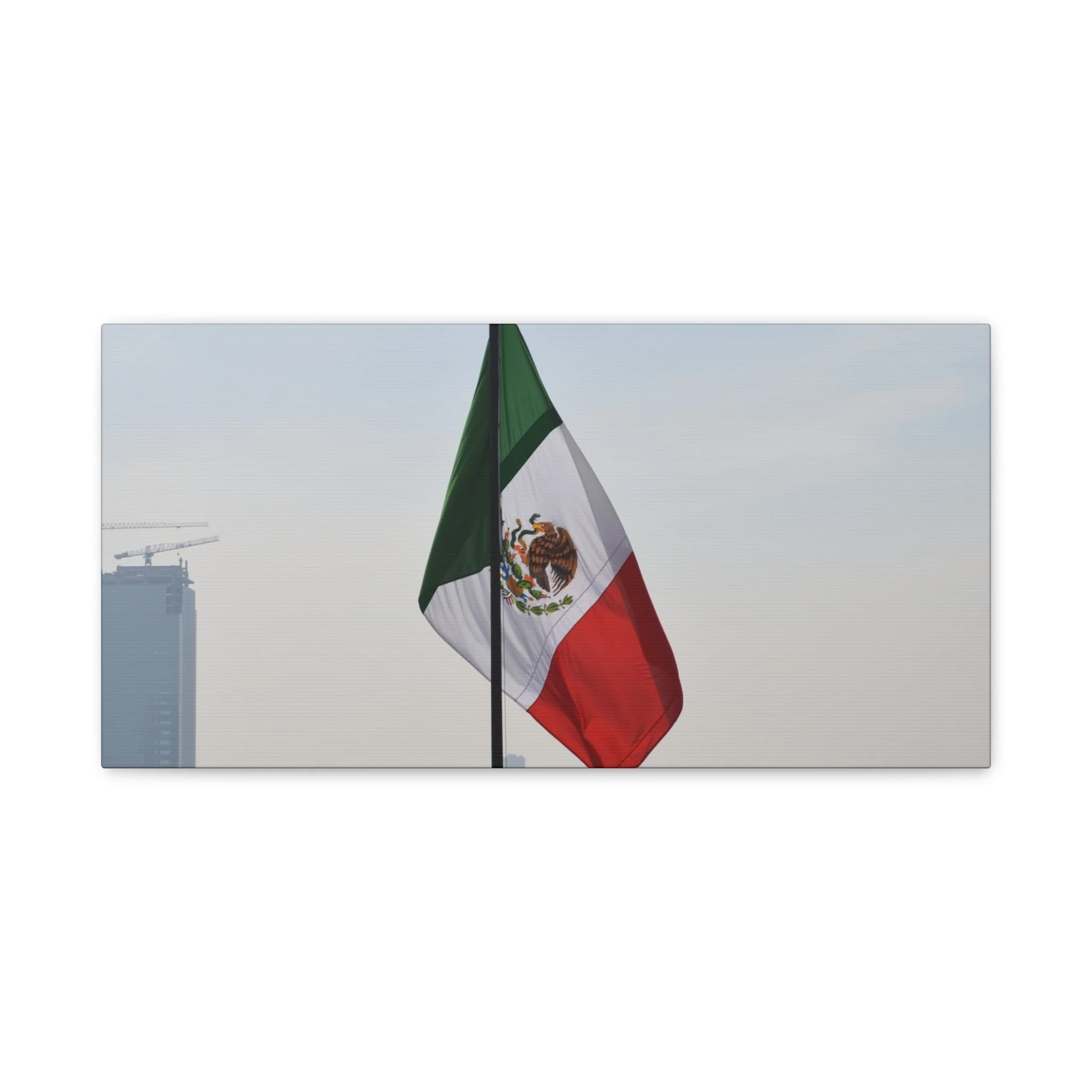 c1356ace55bc727be00fd384f656ce9e