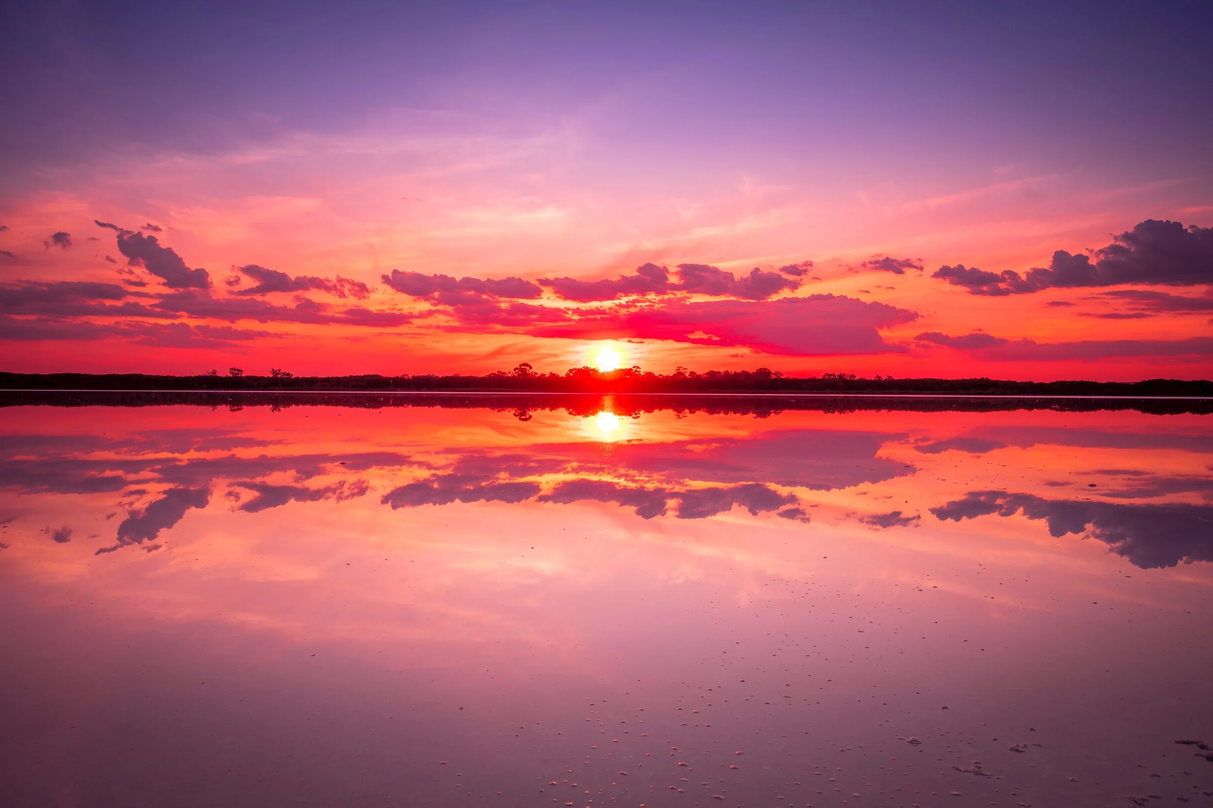 Monthly Question with Patricia