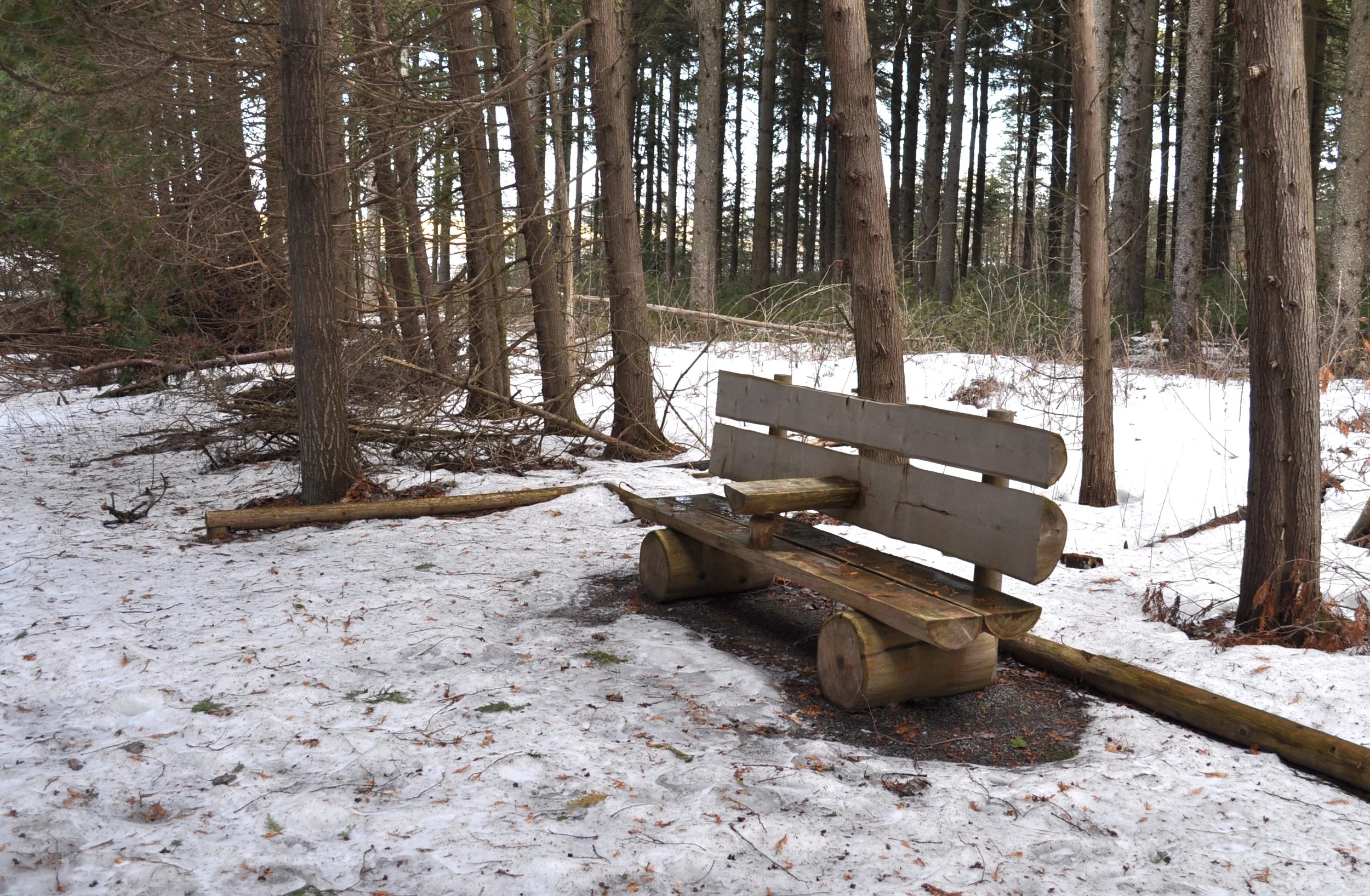 One of the many benches placed throughout the trails.