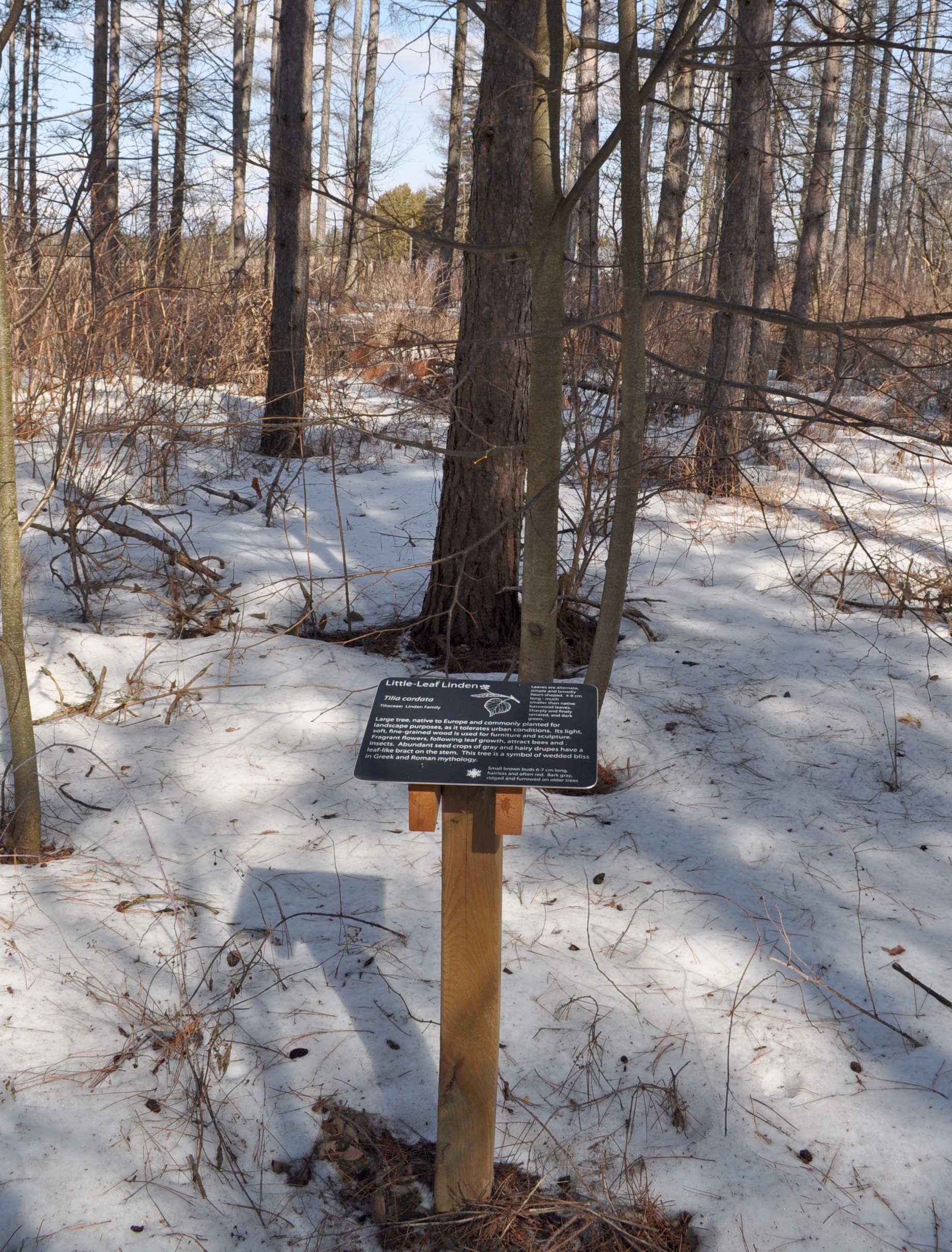 An interpretive plaque.