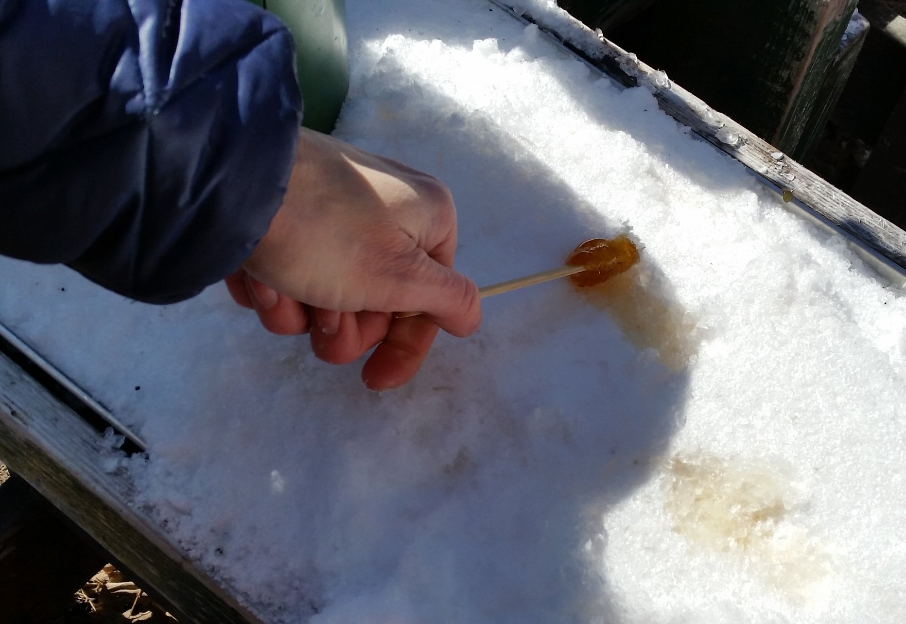 Maple taffy in the snow.
