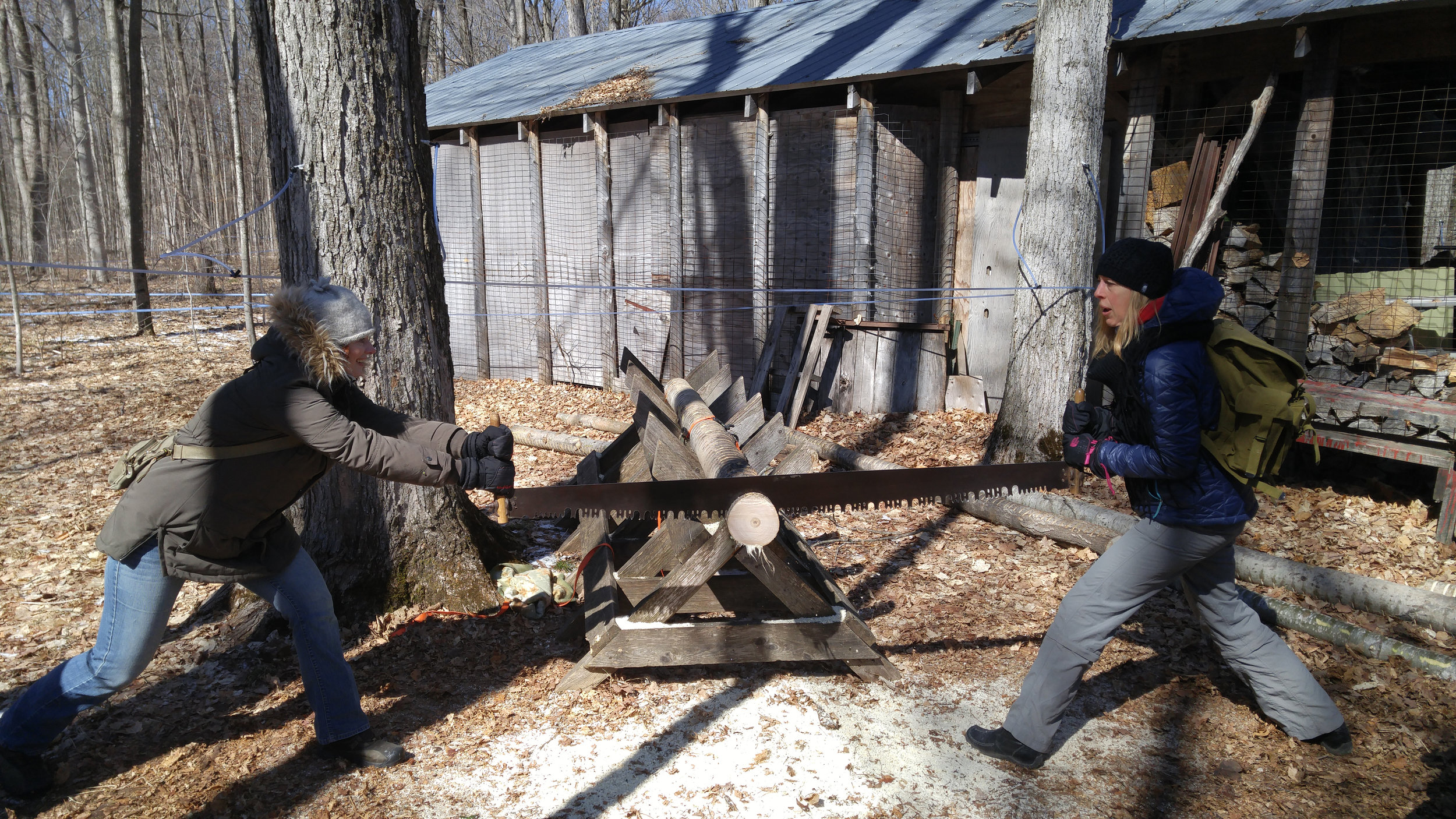 Sarah and Sara, showing 'em how it's done at log sawing competition.