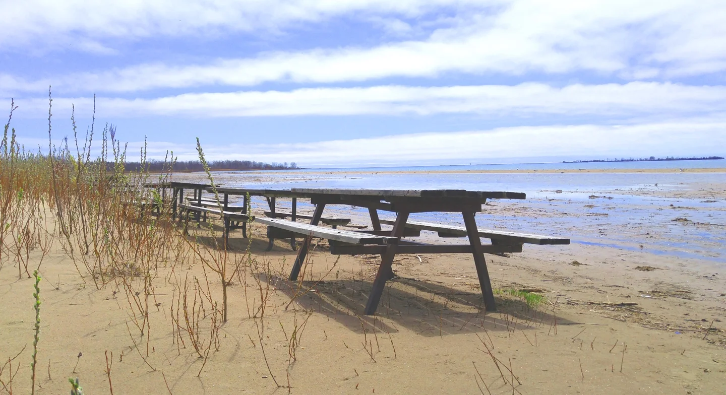 The beach (currently with high water levels).