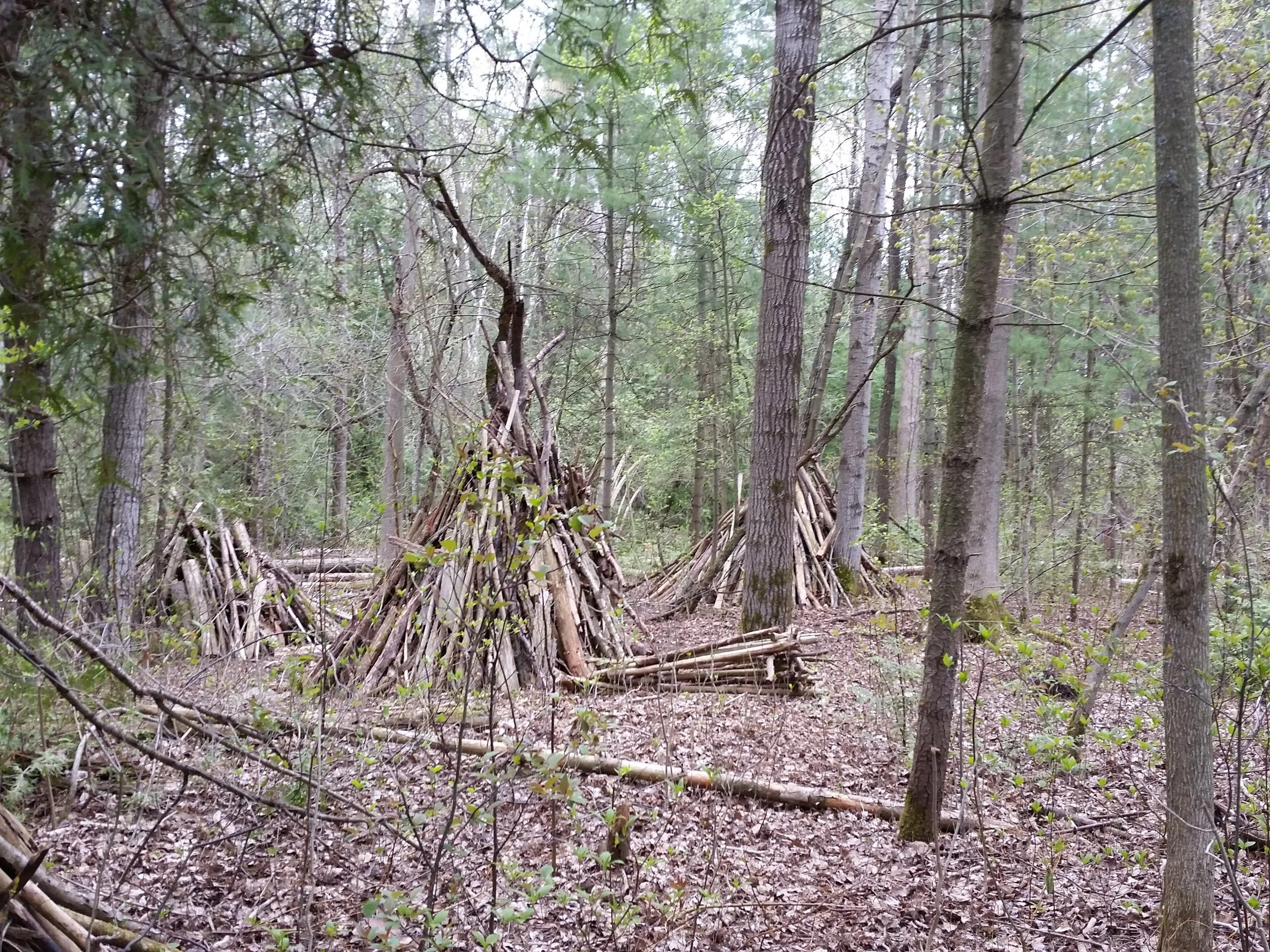 Lean-tos throughout the woods.
