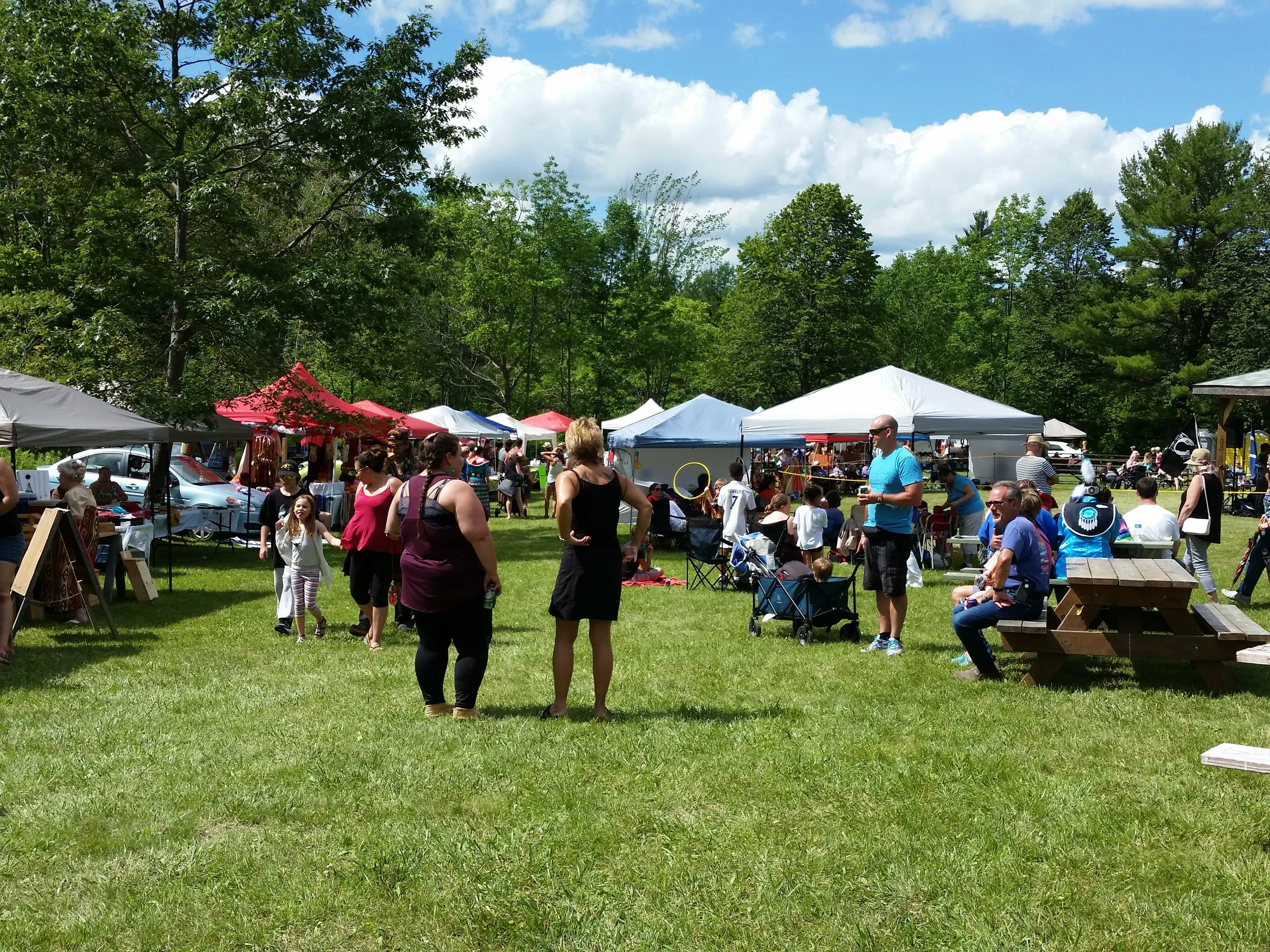 Spectators and participants at the Alderville First Nation Pow Wow.