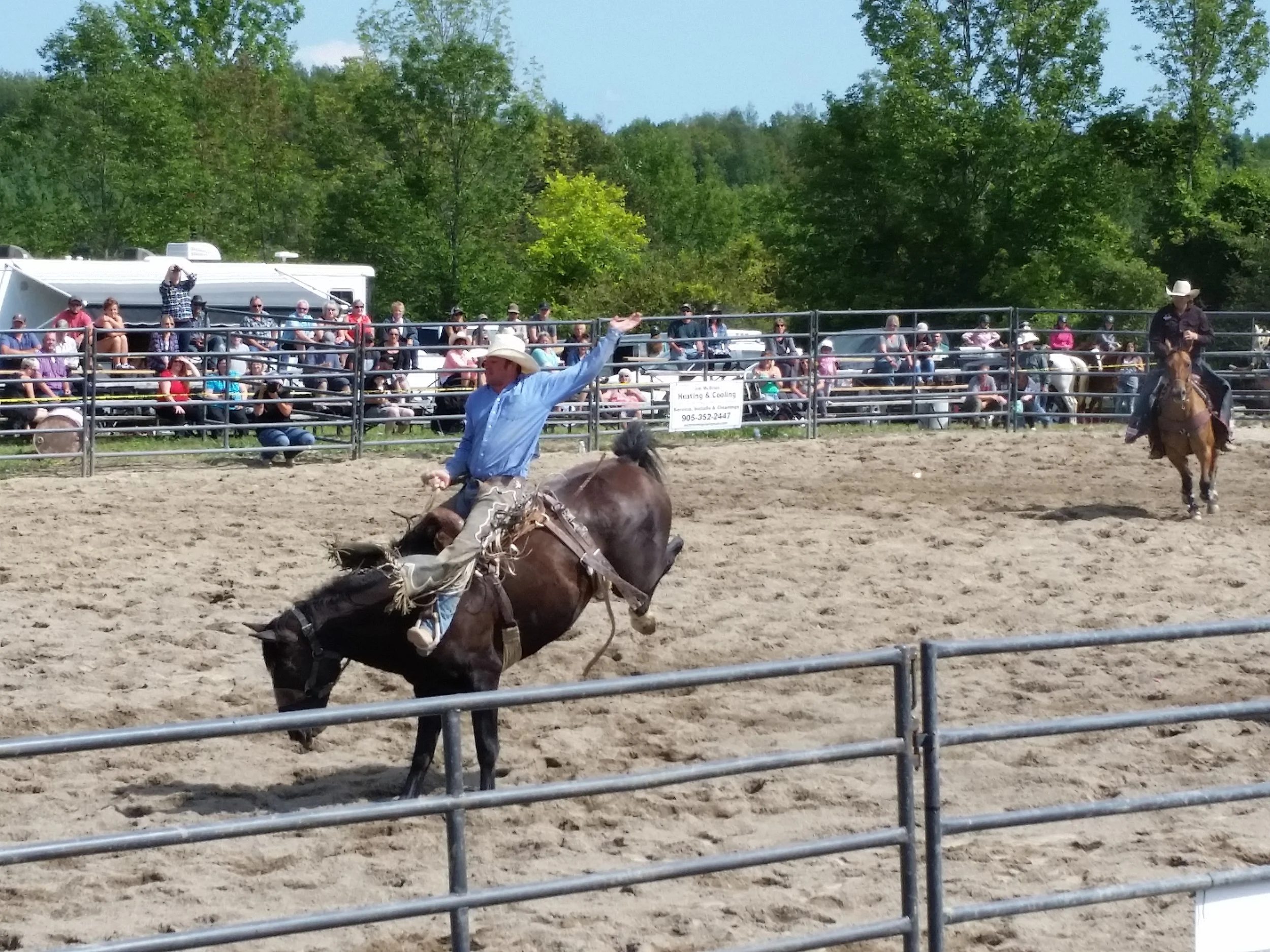 Bucking horses.