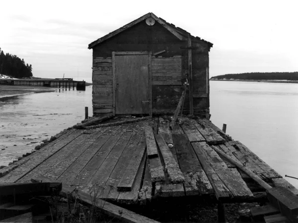 7shack_easternshore_web.jpg