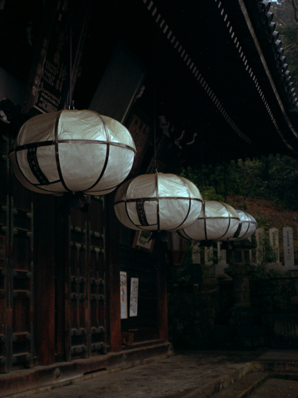 cell lanterns color_low.jpg