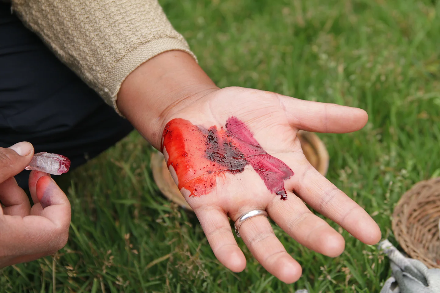 Cochineal_Chinchero_web.jpg