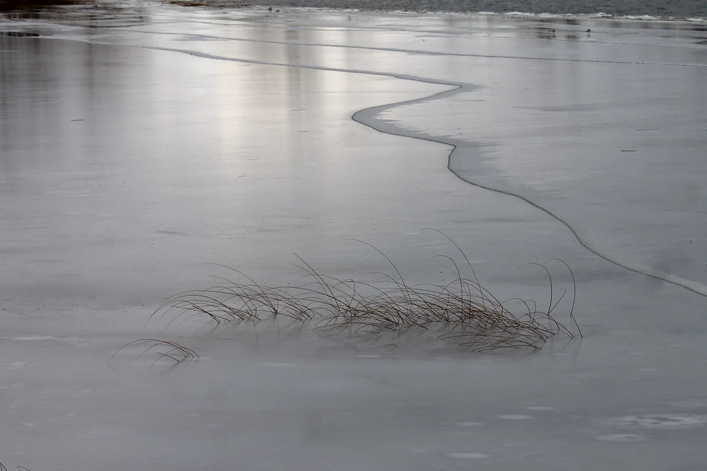 4causeway_colchester_web.jpg