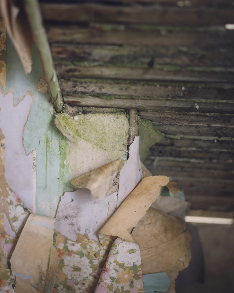 5Peeling wall_low.jpg