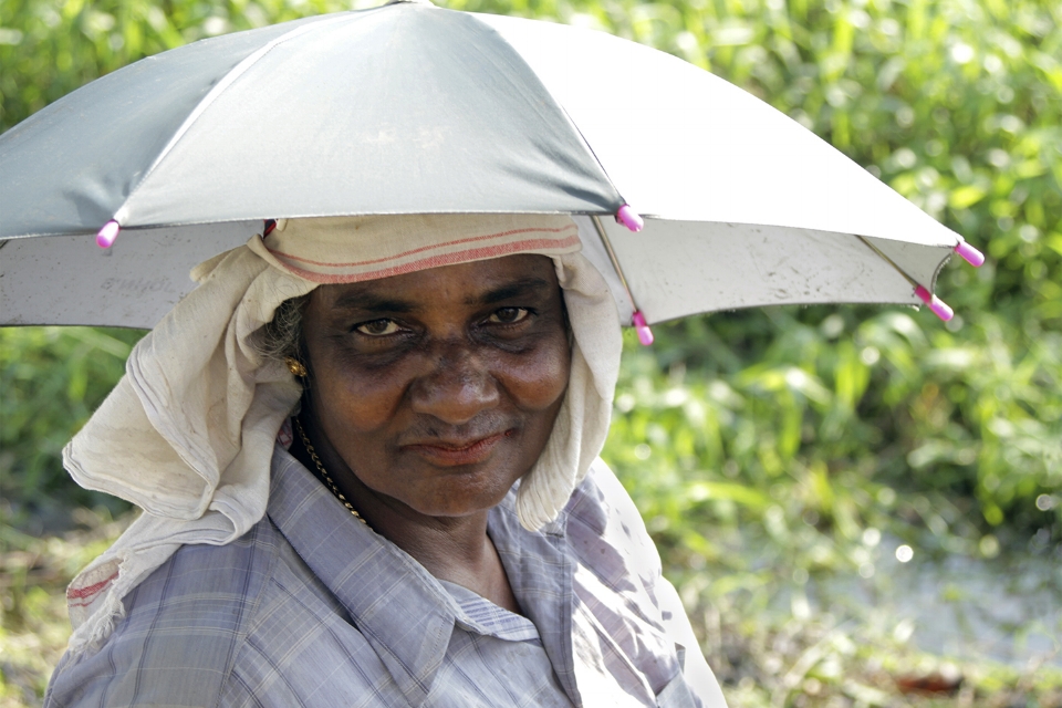 Rice Planter_web.jpg