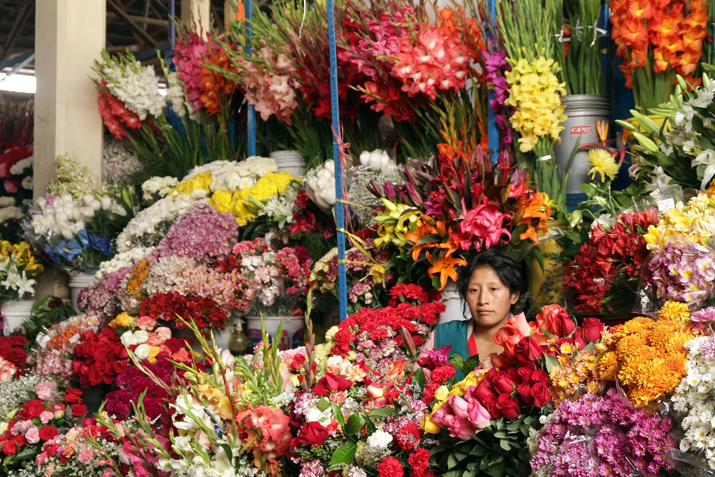 flower woman_cuscweb.jpg