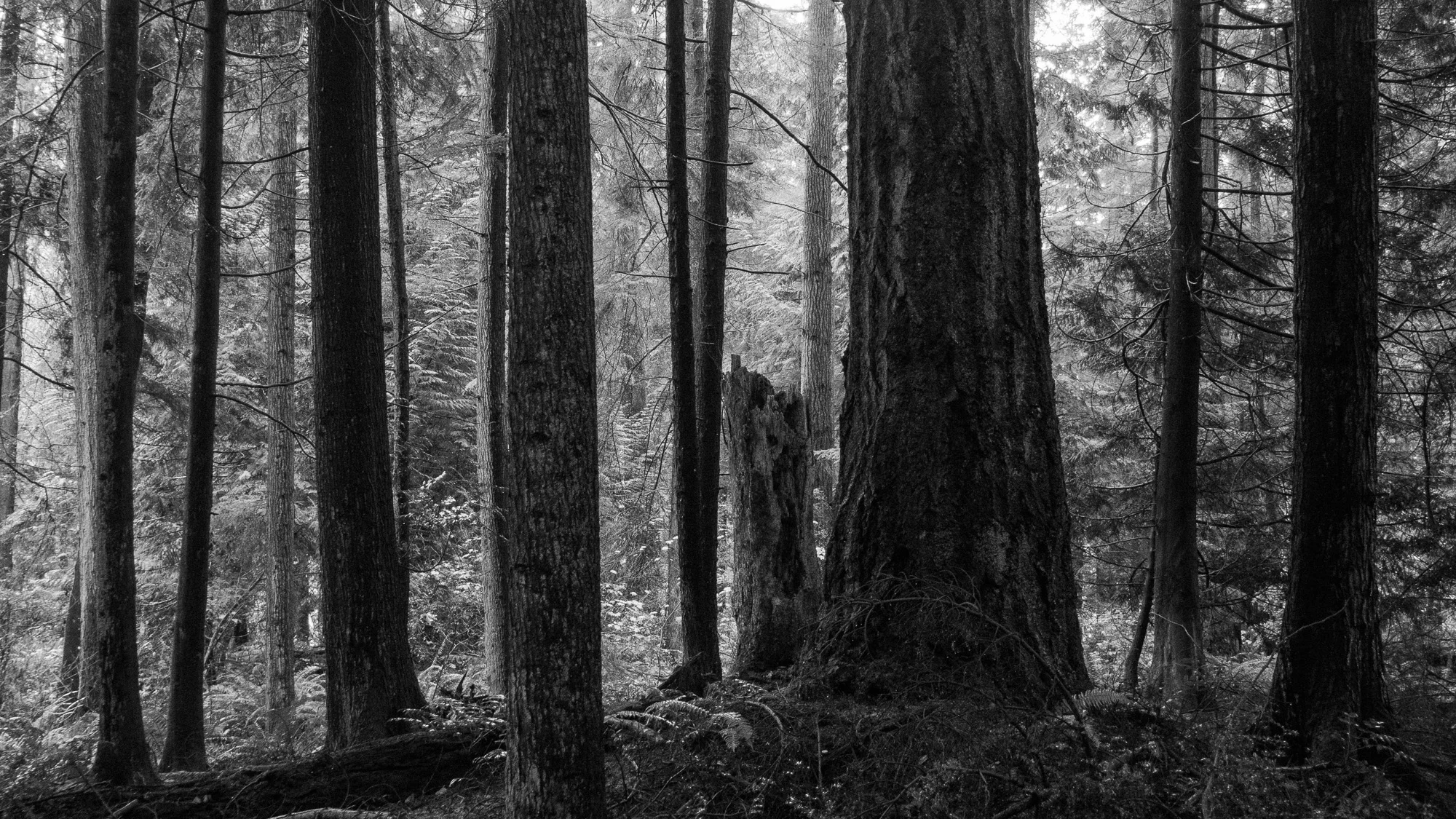 _B020664.jpg
