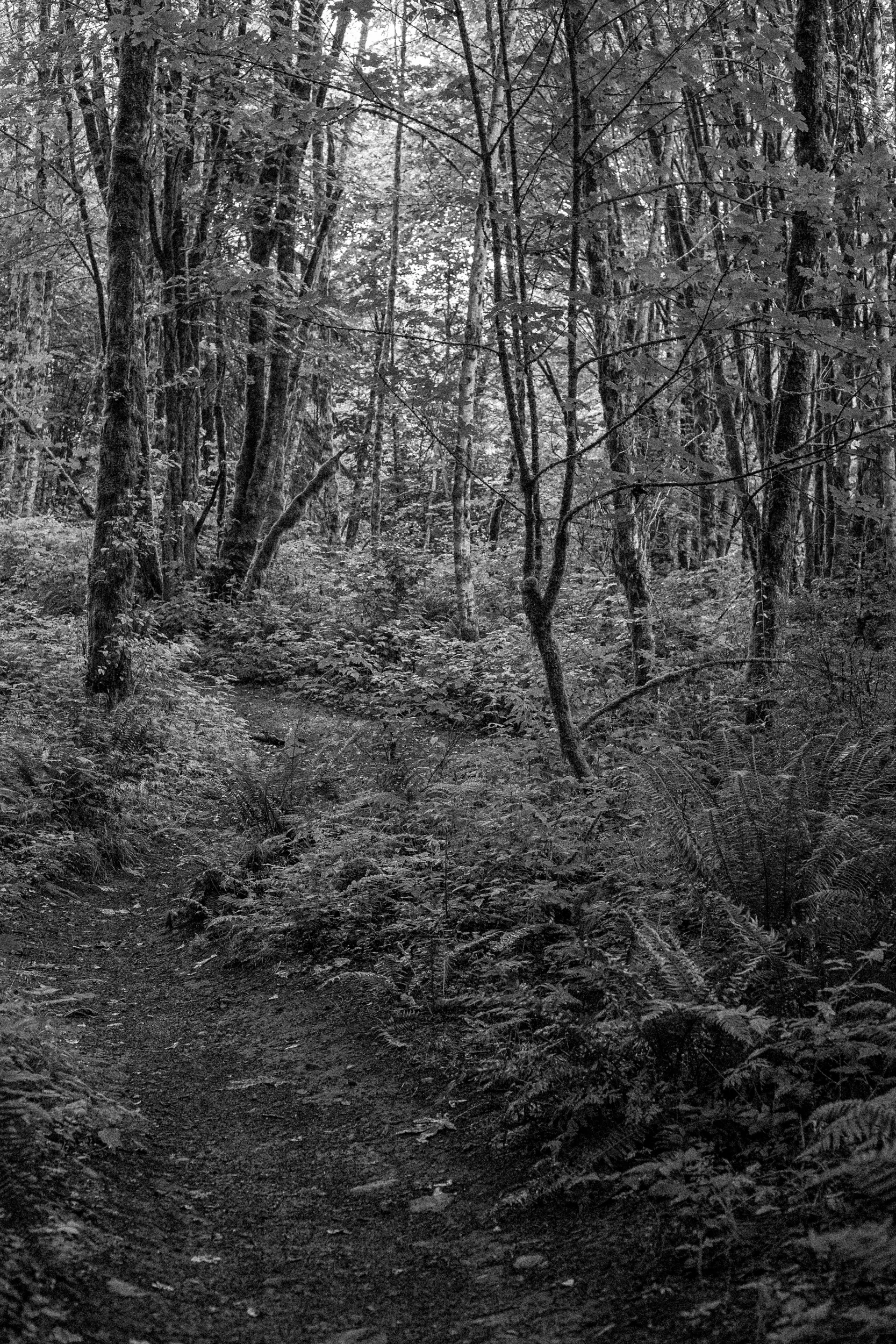 _MG_9742.jpg