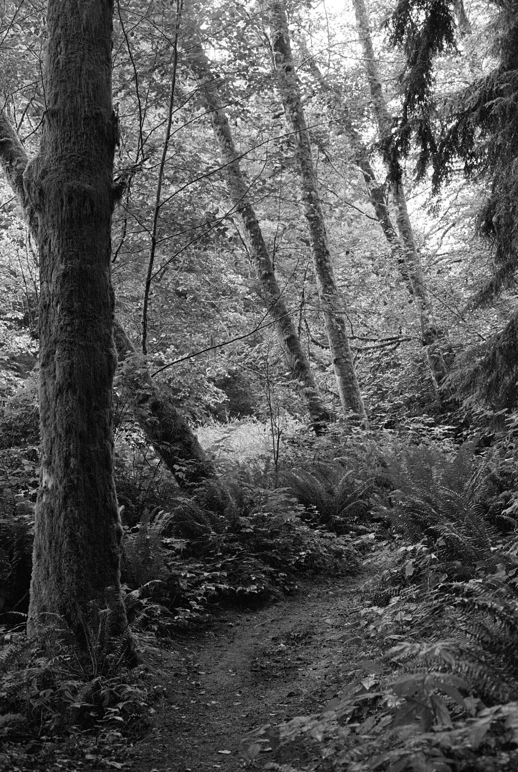 Untitled (34).jpg