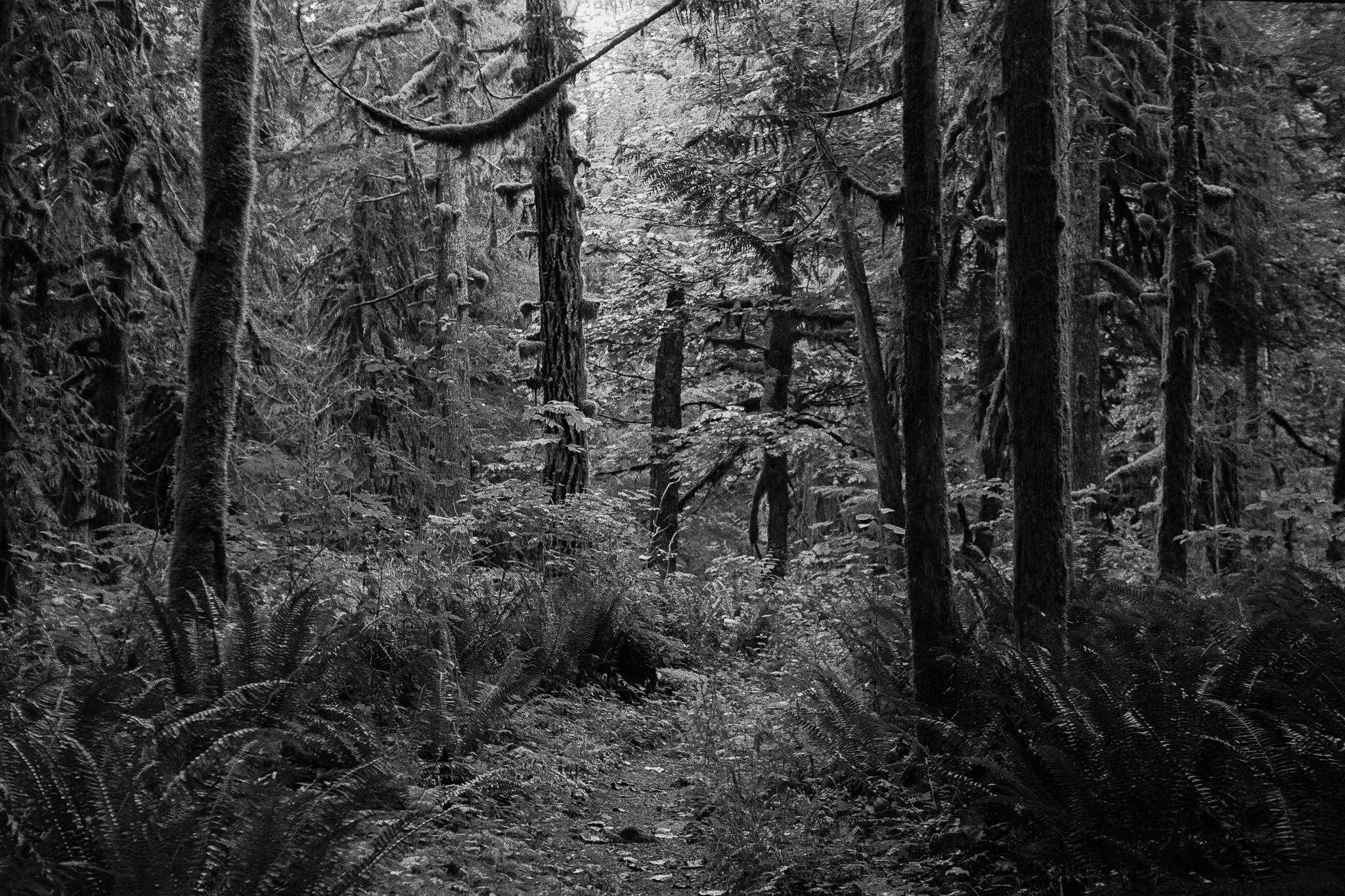 Untitled (77).jpg