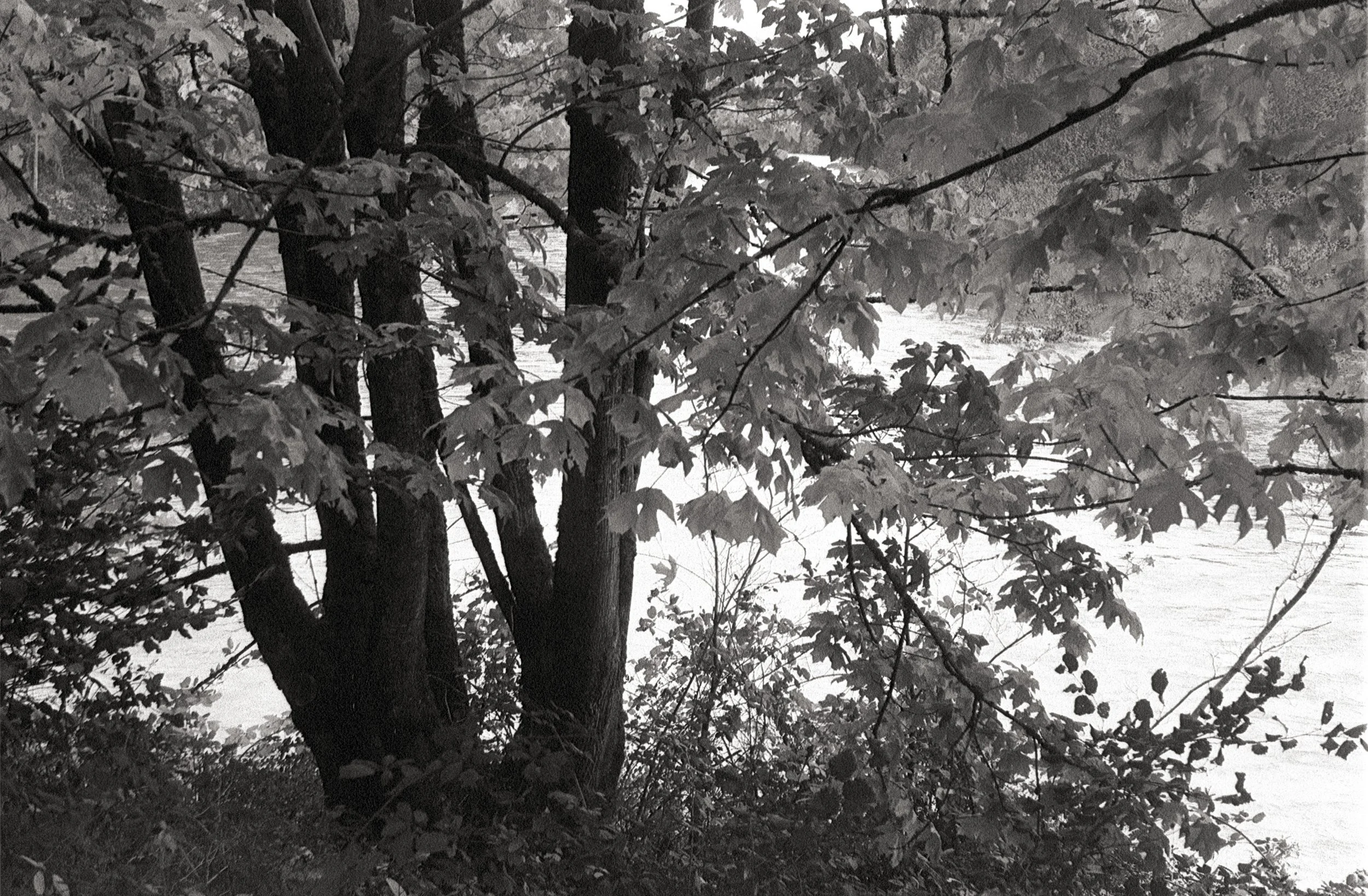 Untitled (13).jpg