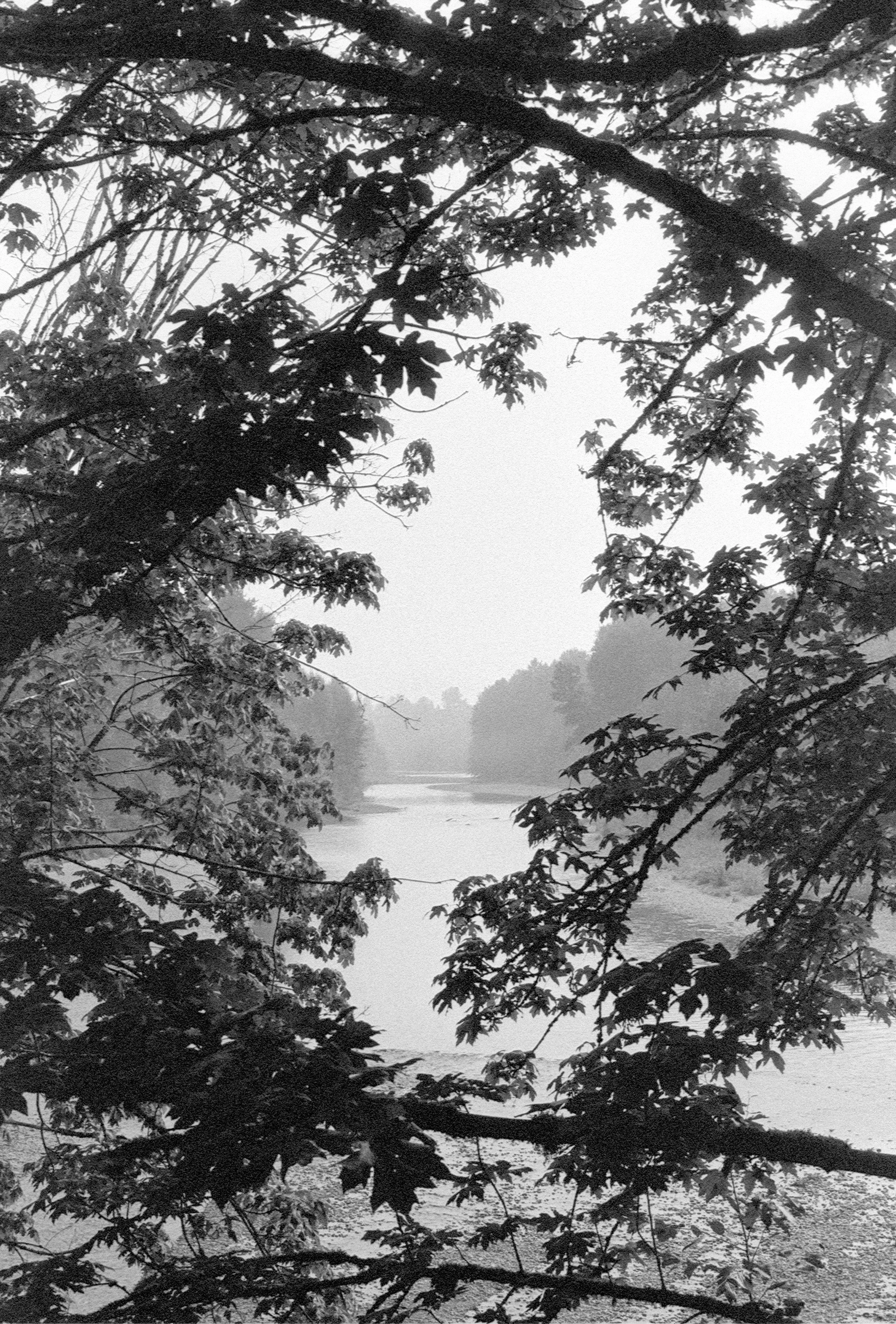 Untitled (39).jpg