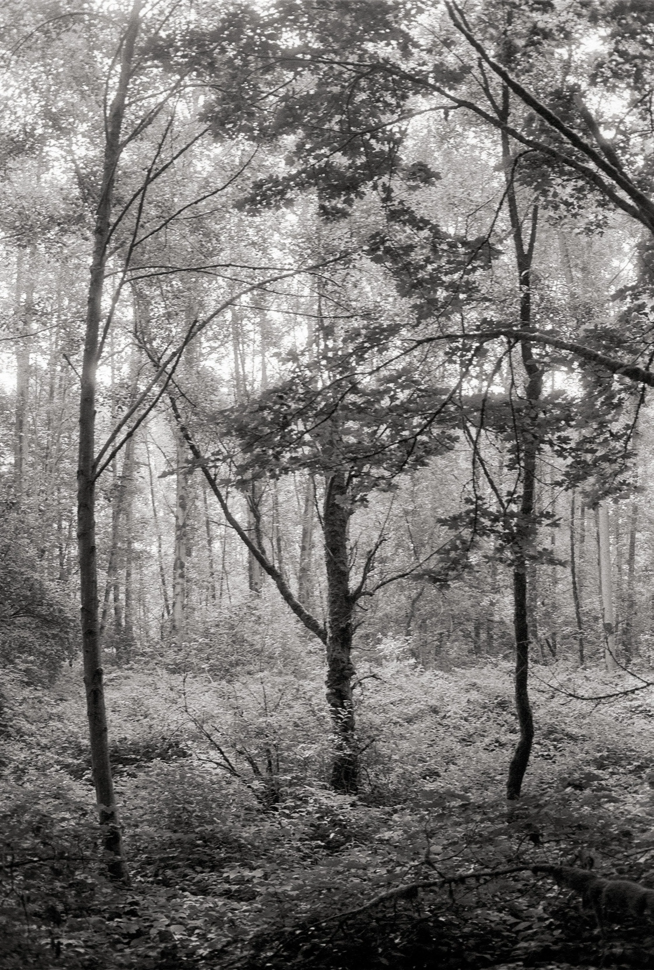 Untitled (55).jpg