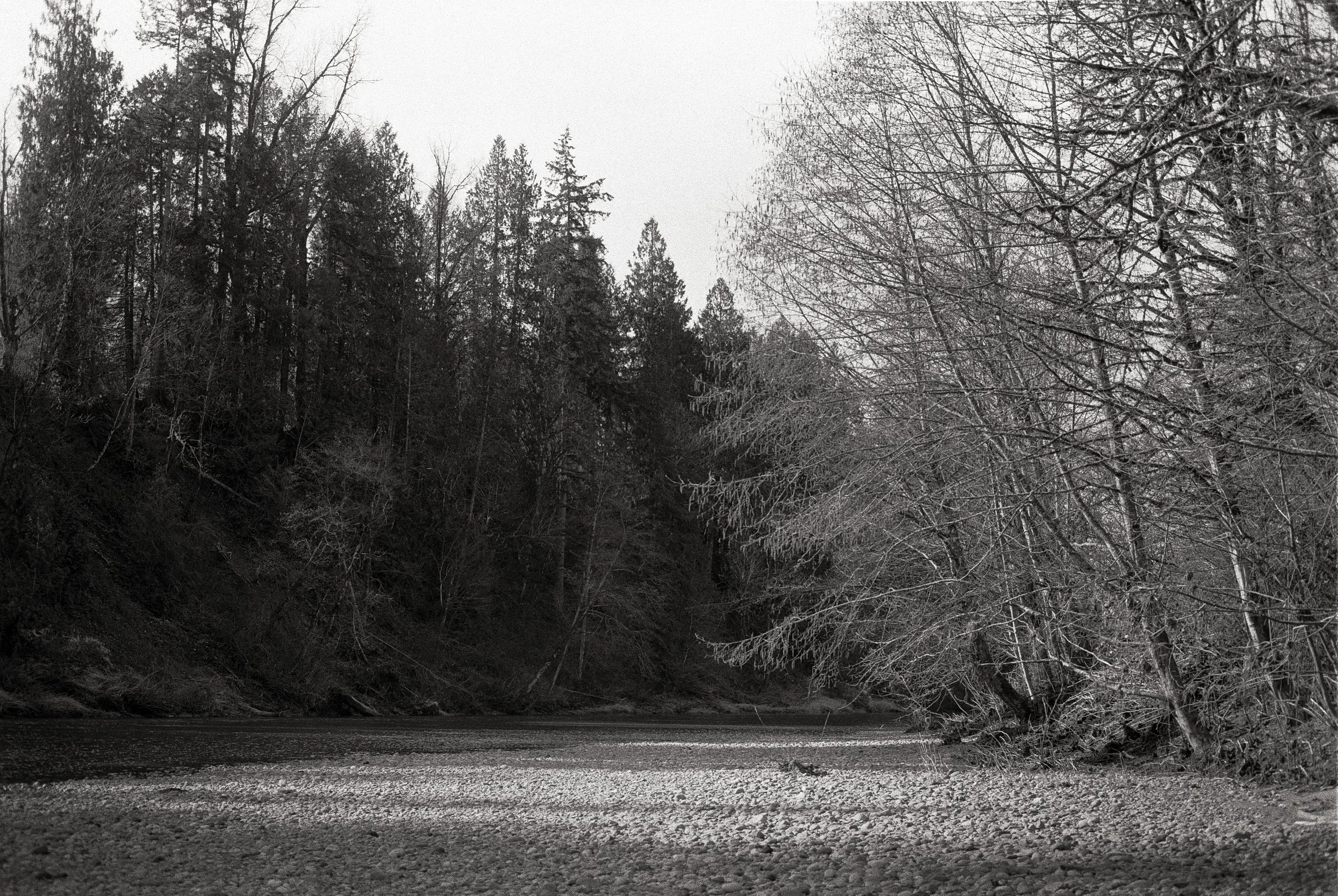 Untitled (51).jpg