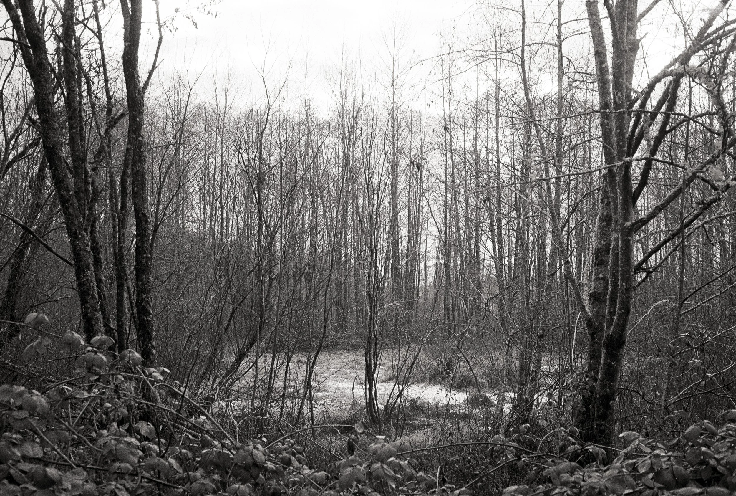 Untitled (77).jpg