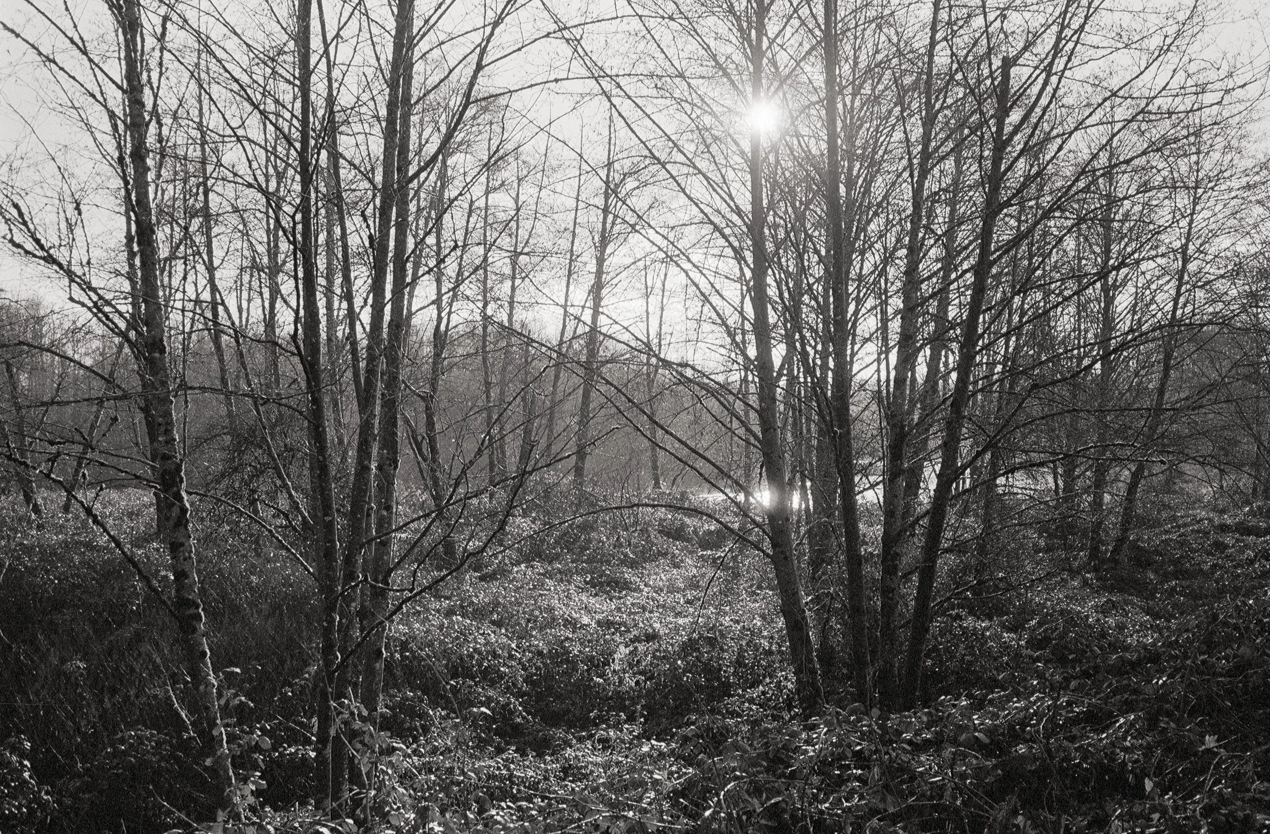 Untitled (89).jpg
