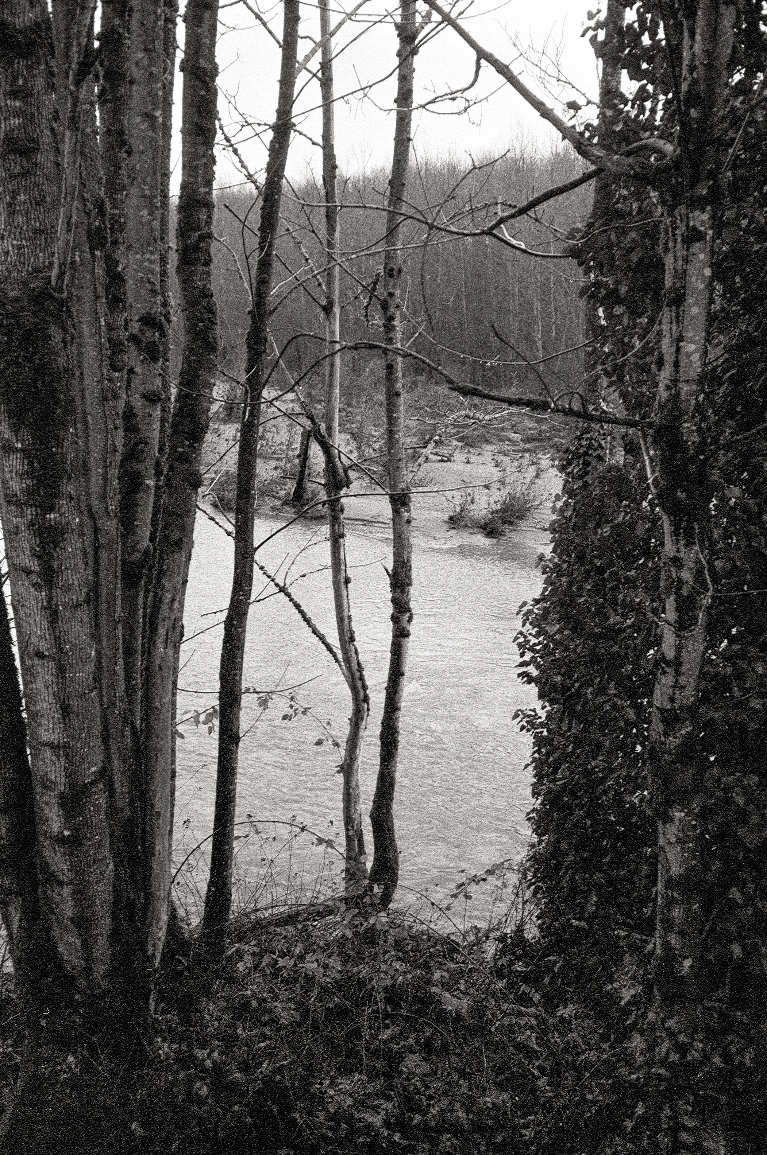 Untitled (98).jpg