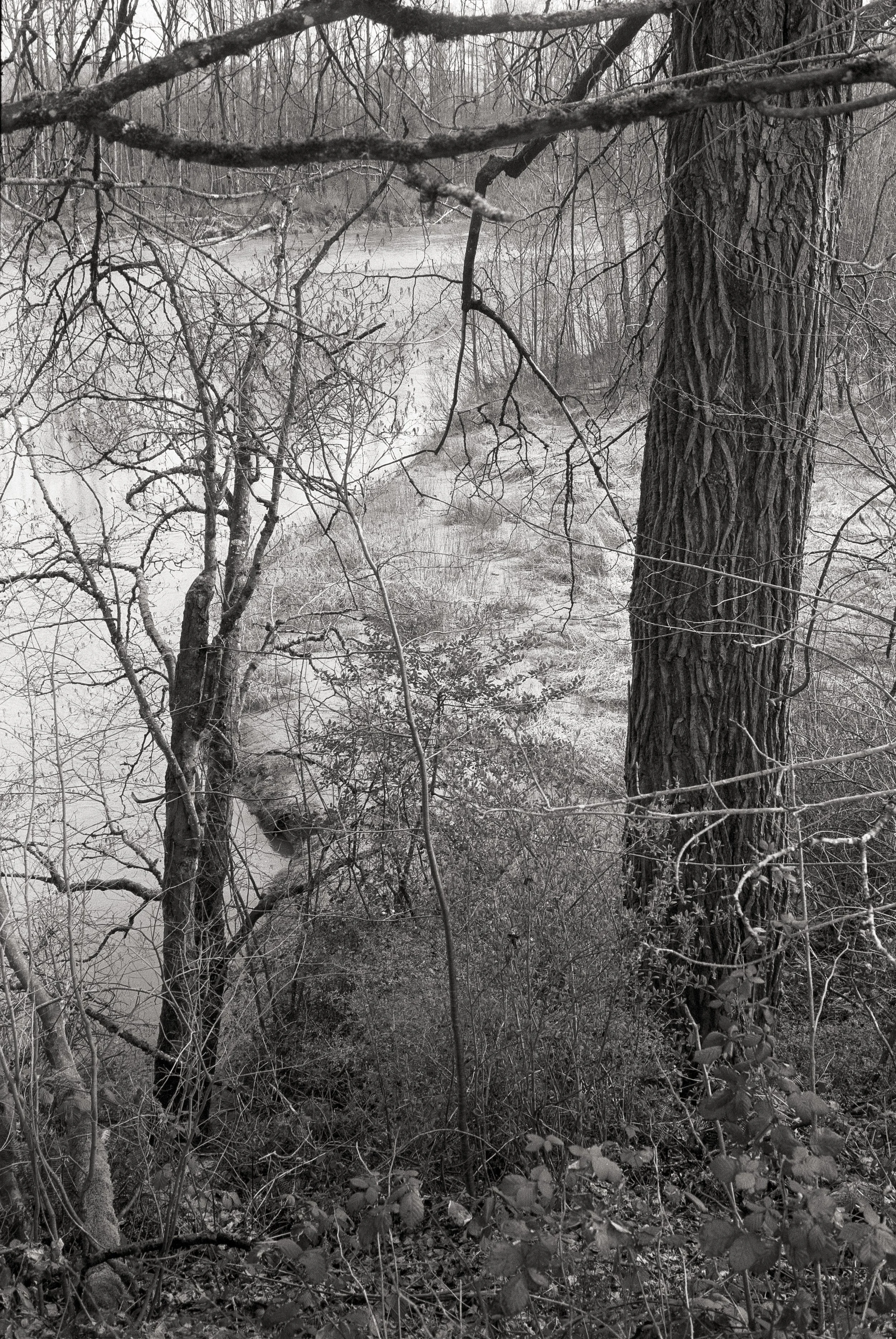 Untitled (223).jpg