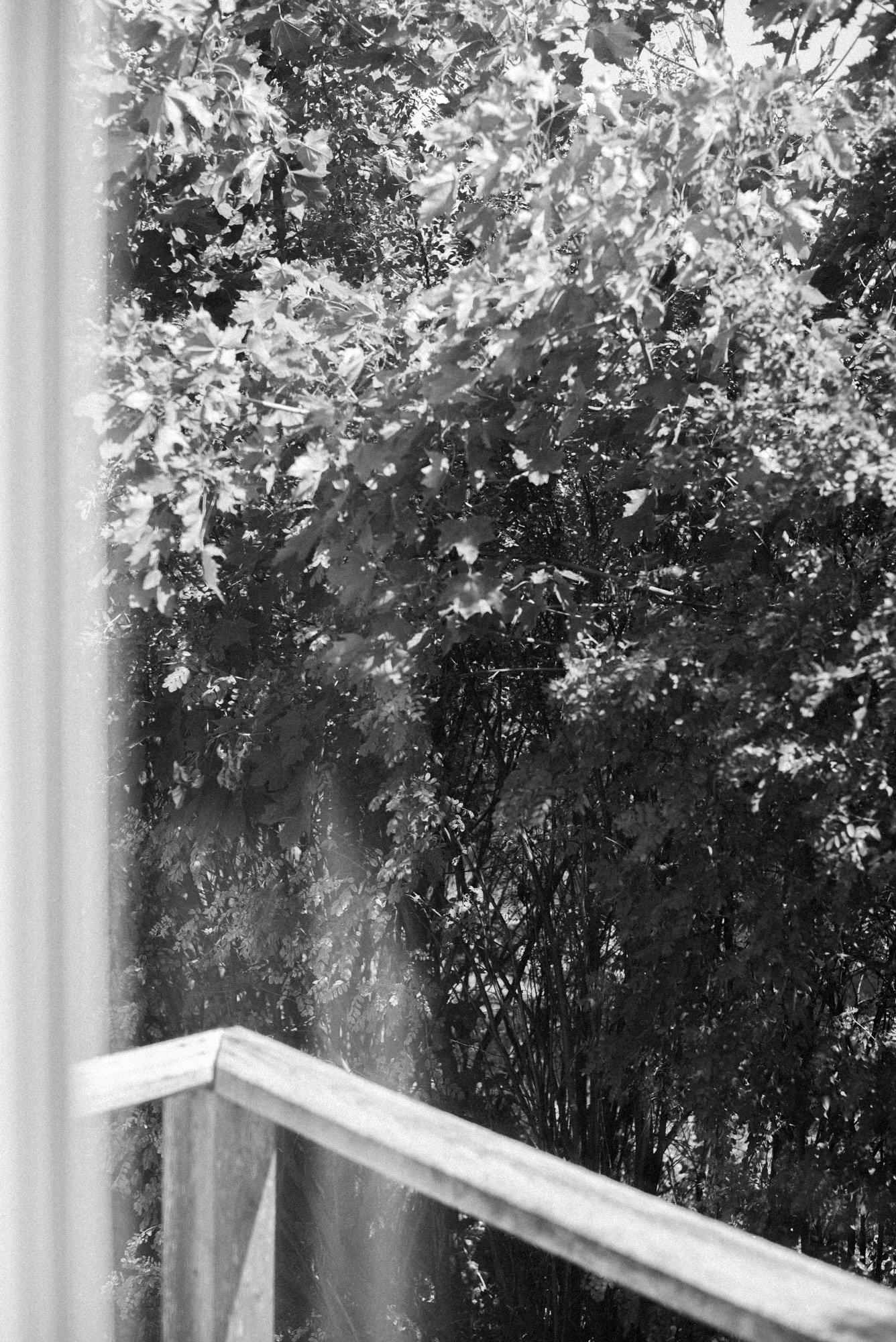 L1001328.jpg