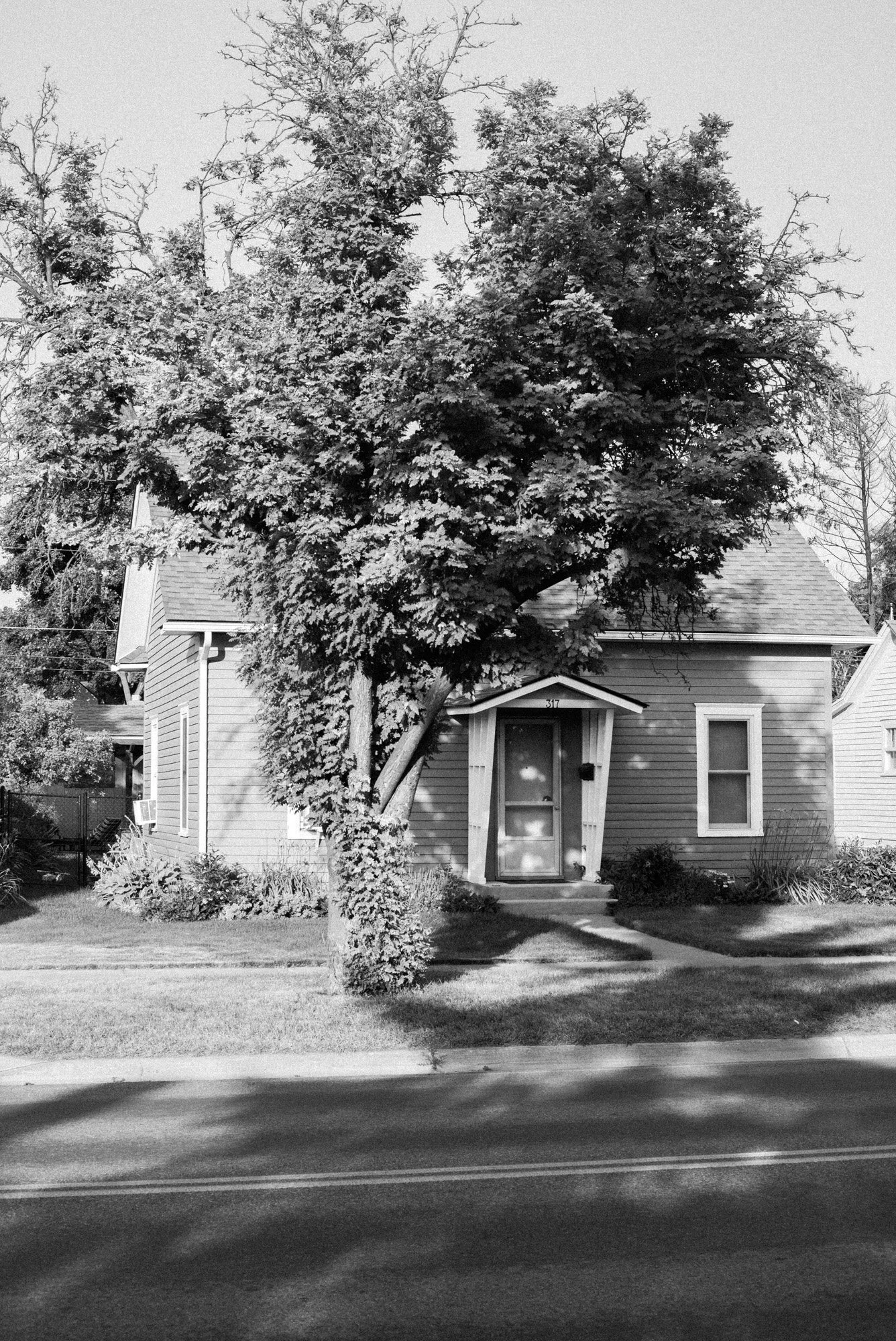 L1001453.jpg